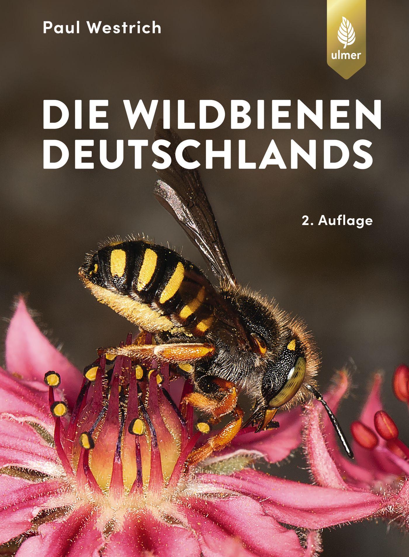 Vorderes Coverbild Die Wildbienen Deutschlands