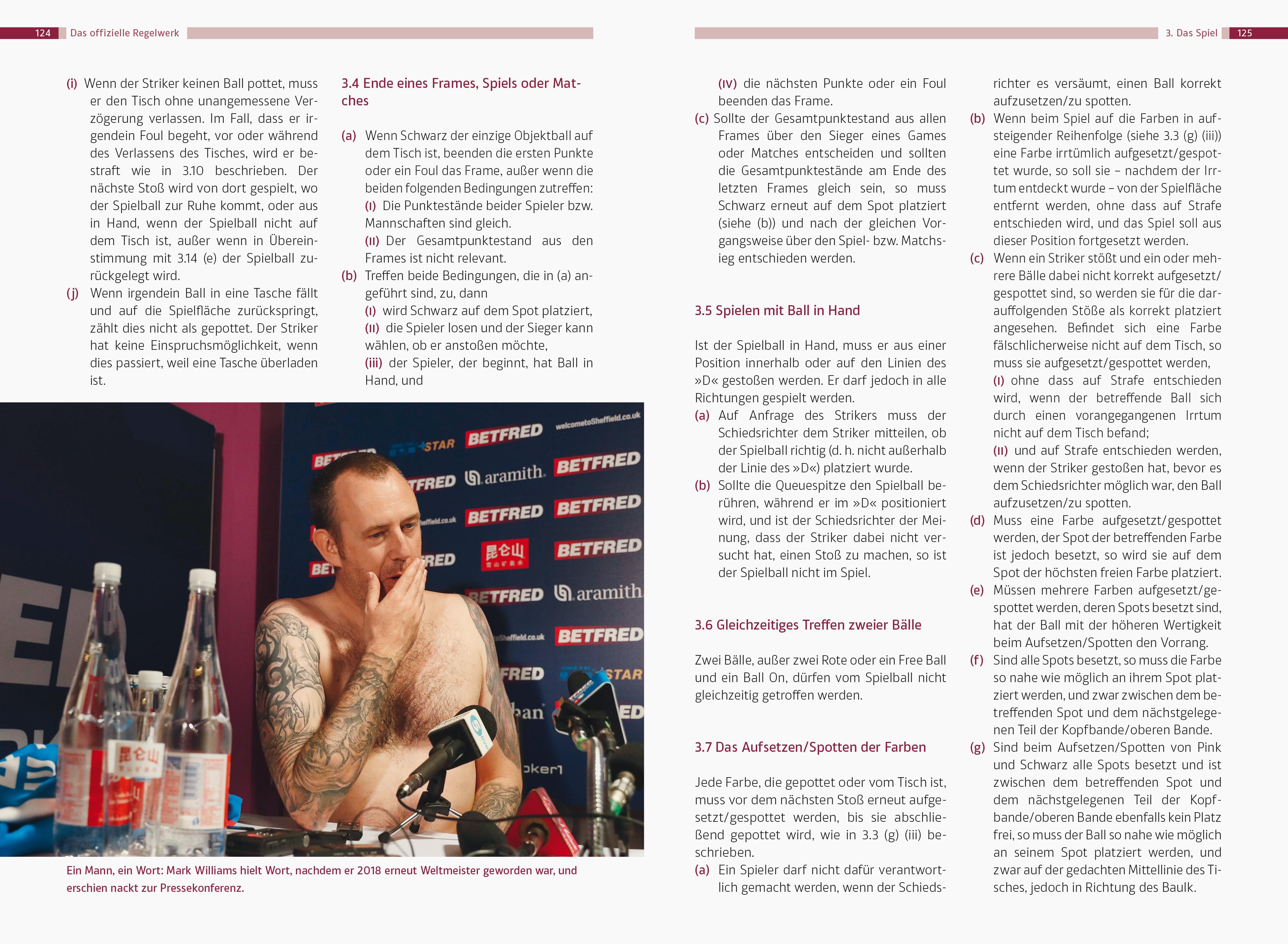 Beispielinhalt (Bild) Snooker