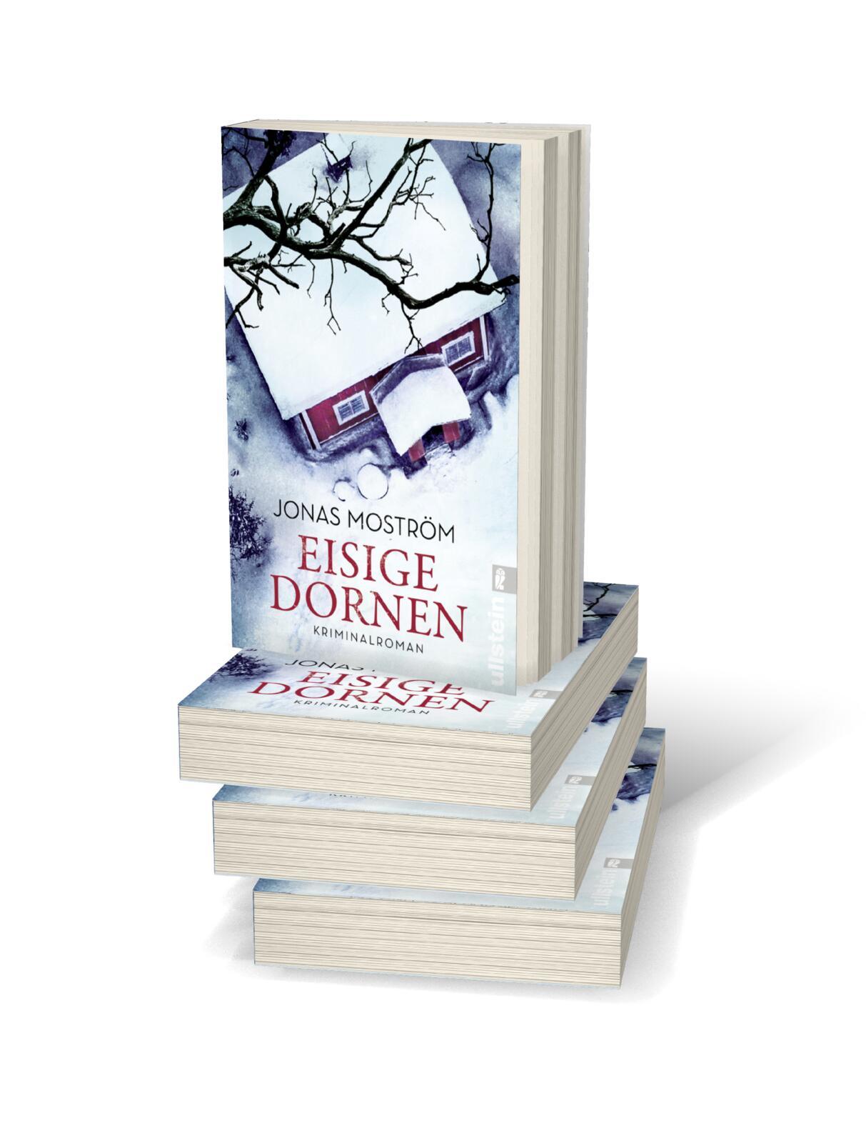 Beispielinhalt (Bild) Eisige Dornen