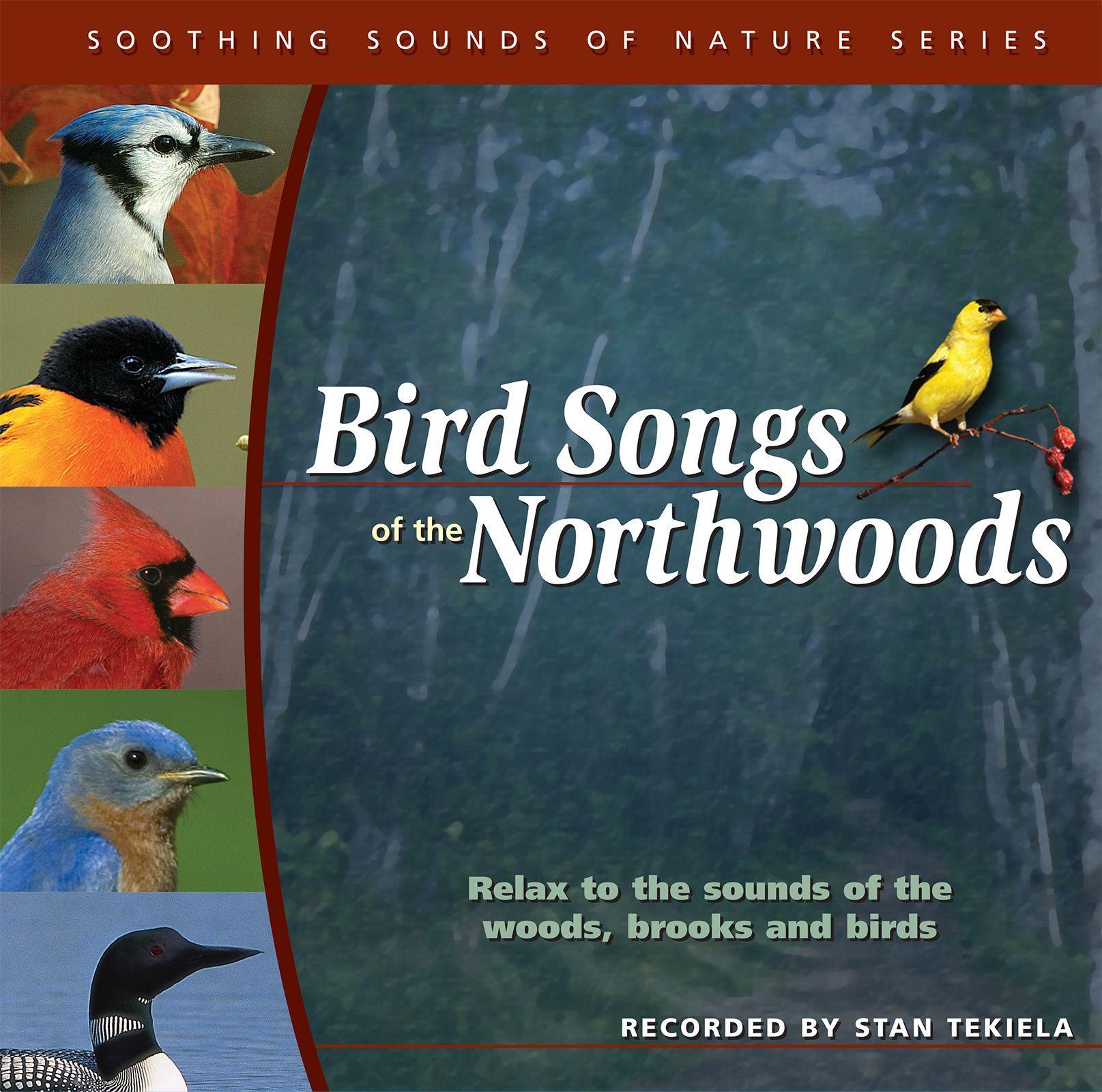 Vorderes Coverbild Bird Songs of the Northwoods