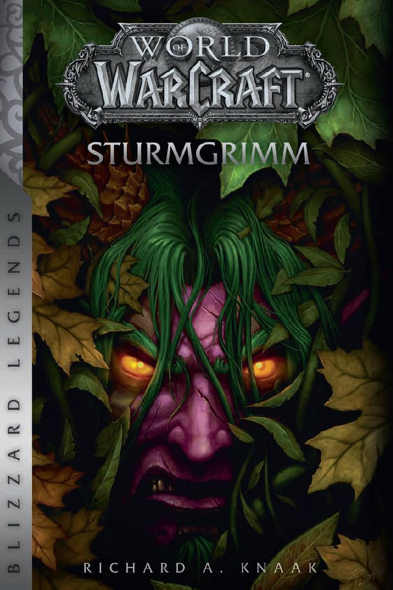 Vorderes Coverbild World of Warcraft: Sturmgrimm