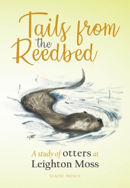Vorderes Coverbild Tails from the Reedbed