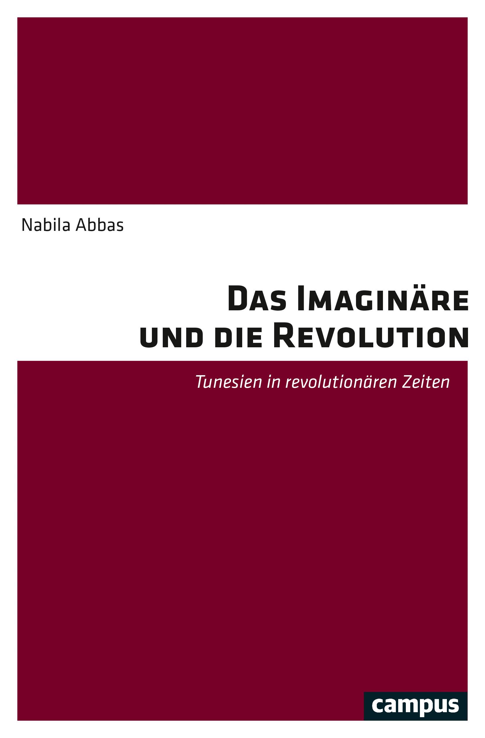Vorderes Coverbild Das Imaginäre und die Revolution