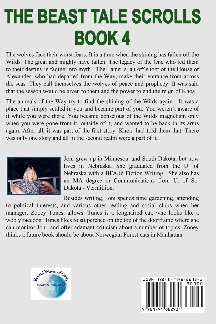 Rückseitencover In the Second Realm