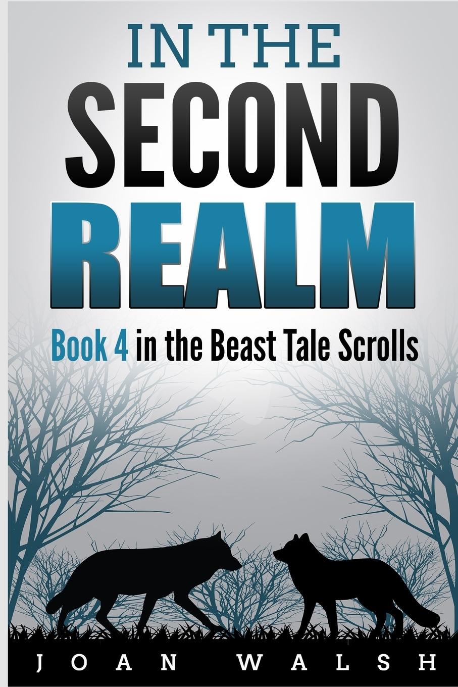 Vorderes Coverbild In the Second Realm