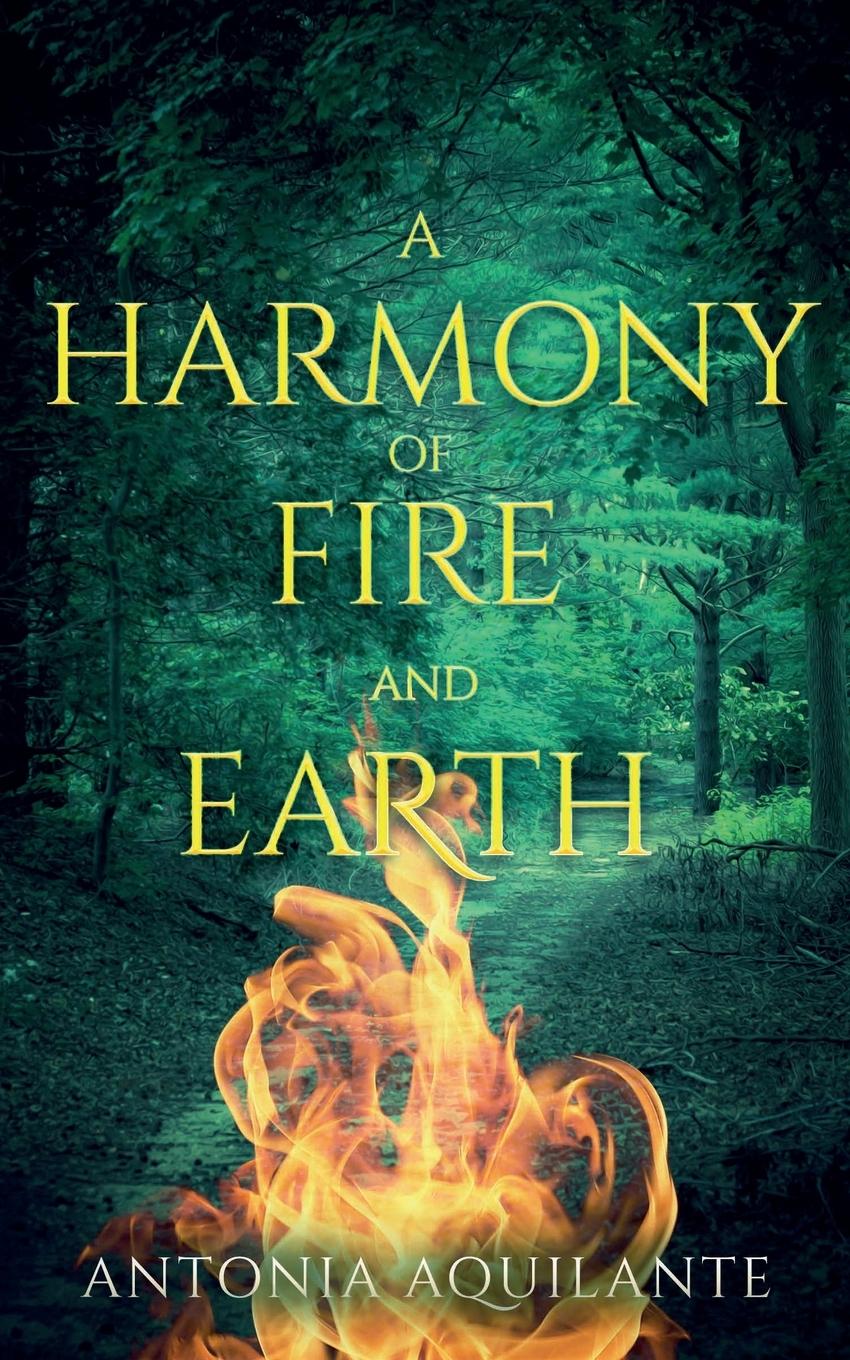 Vorderes Coverbild A Harmony of Fire and Earth