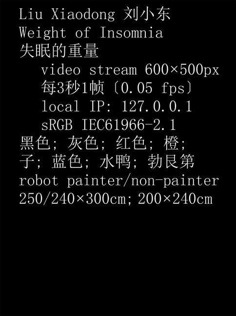 Vorderes Coverbild Liu Xiaodong: Weight of Insomnia