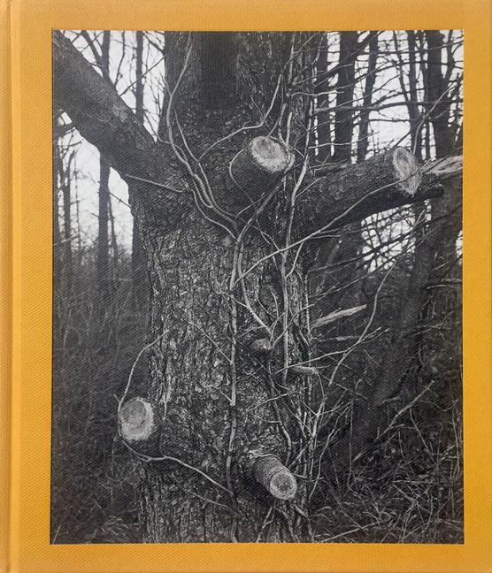 Vorderes Coverbild Tim Carpenter: Christmas Day, Bucks Pond Road