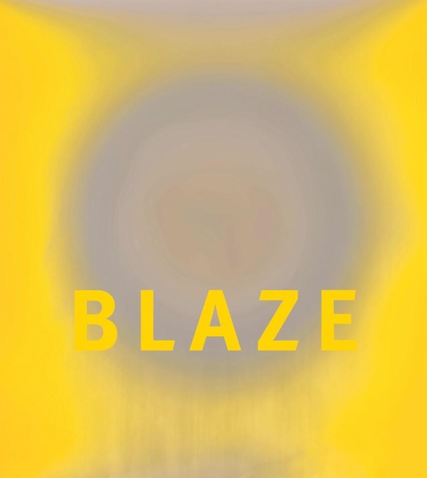 Vorderes Coverbild Garry Fabian Miller: Blaze