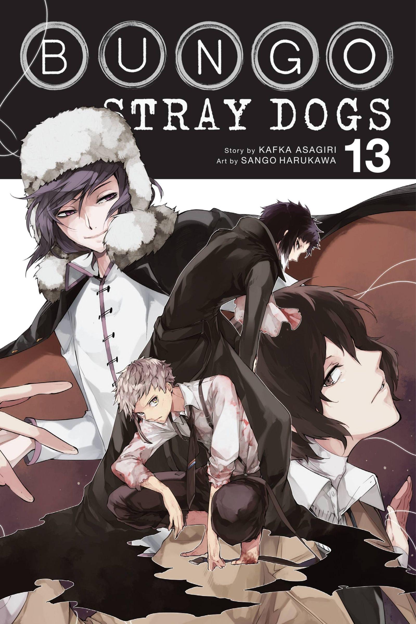 Vorderes Coverbild Bungo Stray Dogs, Vol. 13