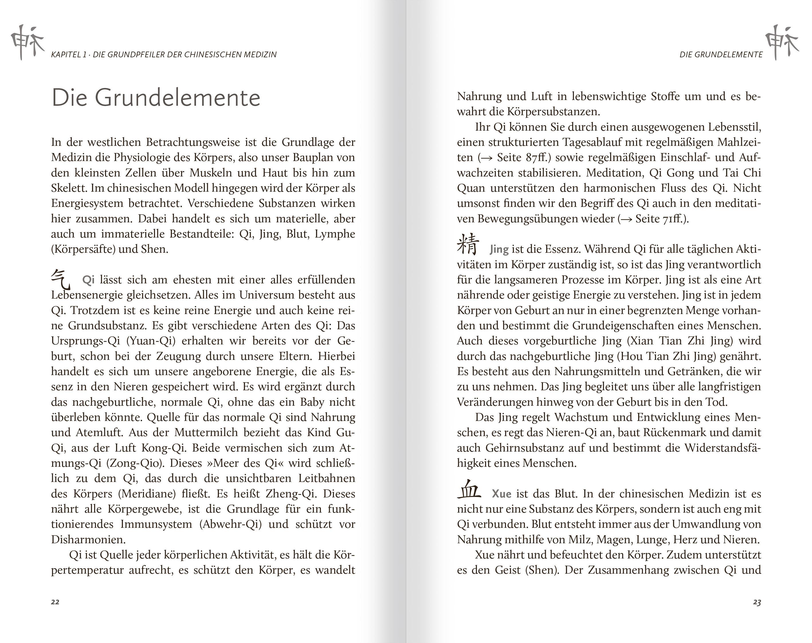 Beispielinhalt (Bild) Das Buch der Chinesischen Heilkunst