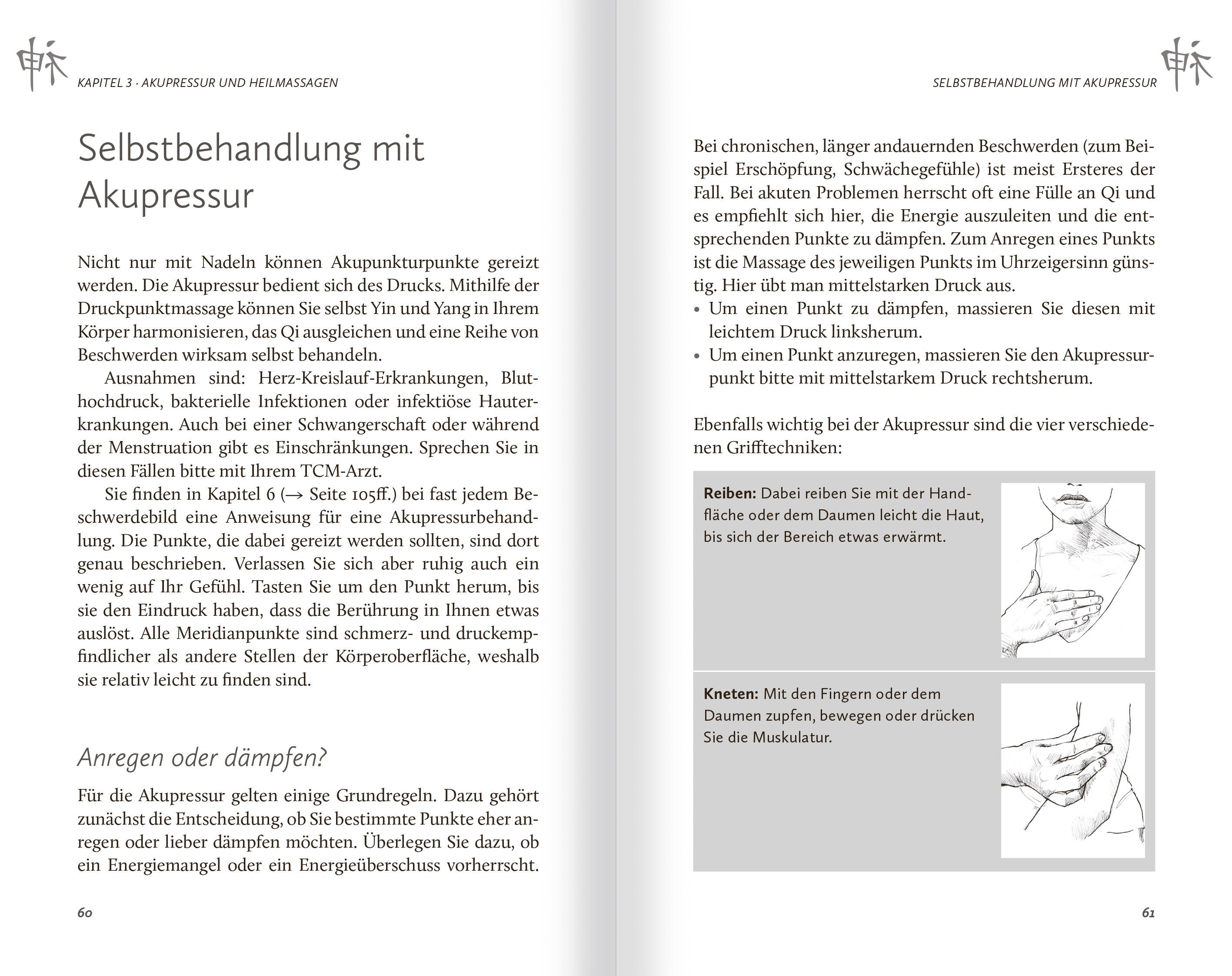 Beispielinhalt (Bild) Das Buch der Chinesischen Heilkunst