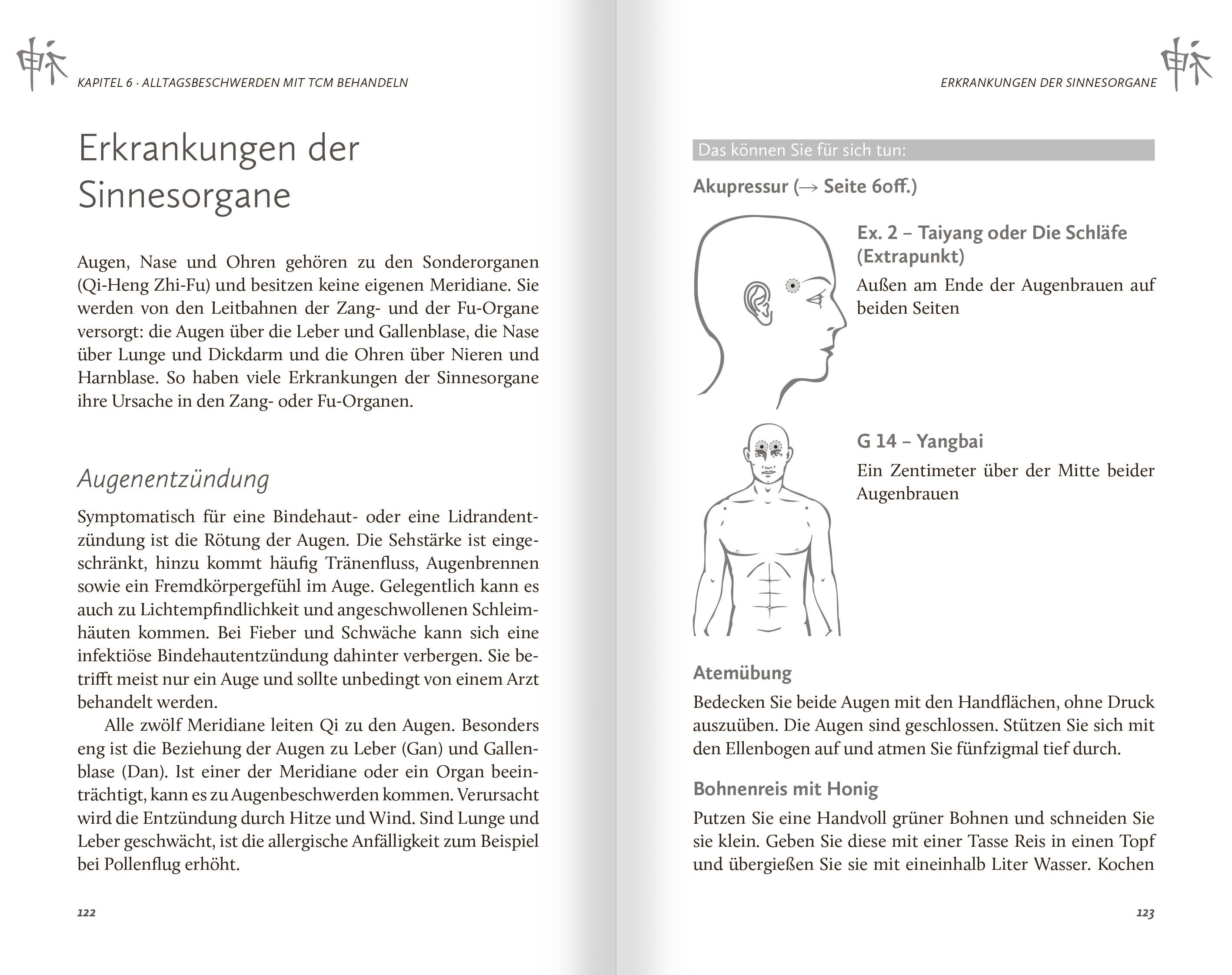 Beispielinhalt (Bild) Das Buch der Chinesischen Heilkunst