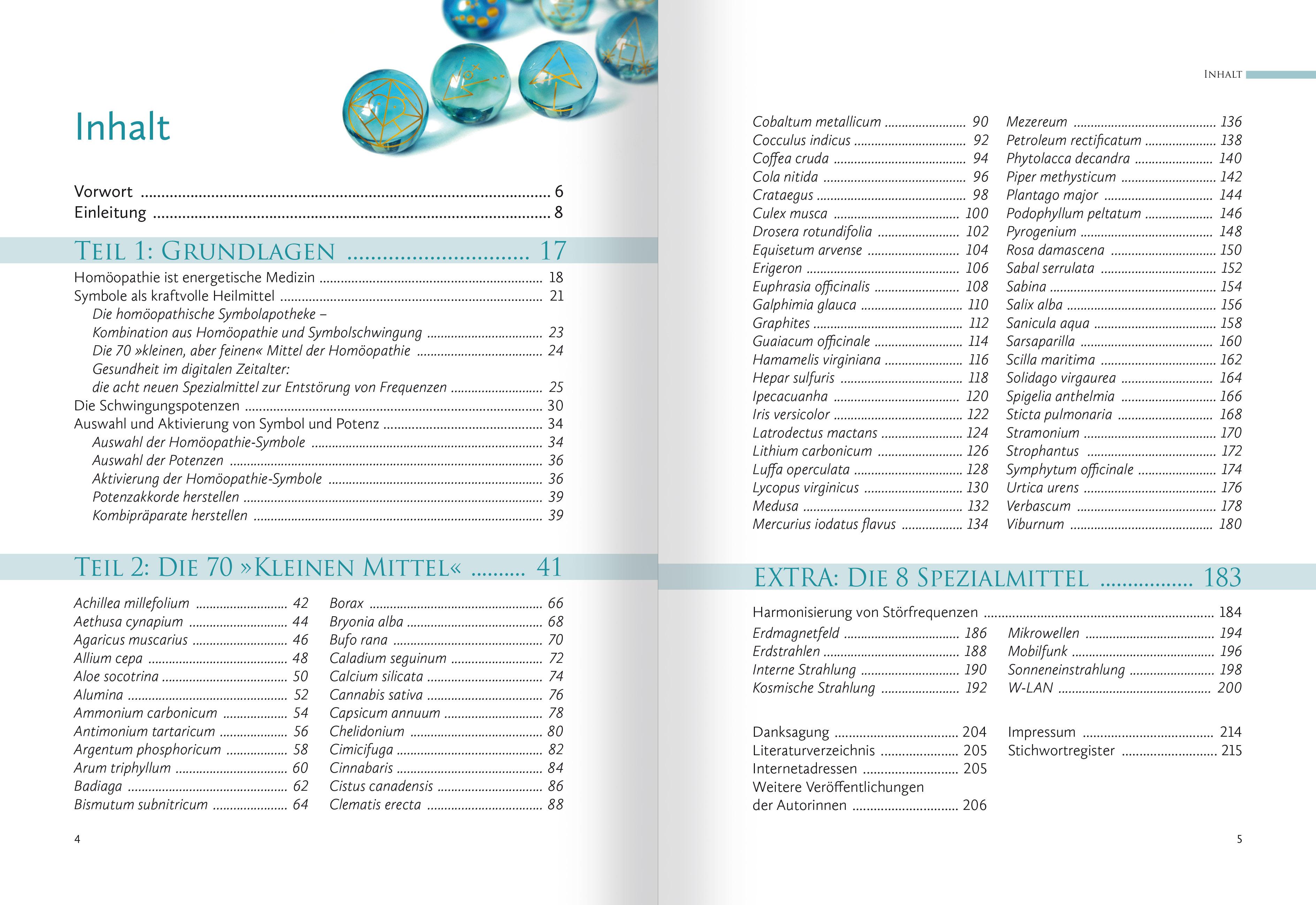 Beispielinhalt (Bild) Homöopathische Symbolapotheke. 70 wichtige "Kleine Mittel"
