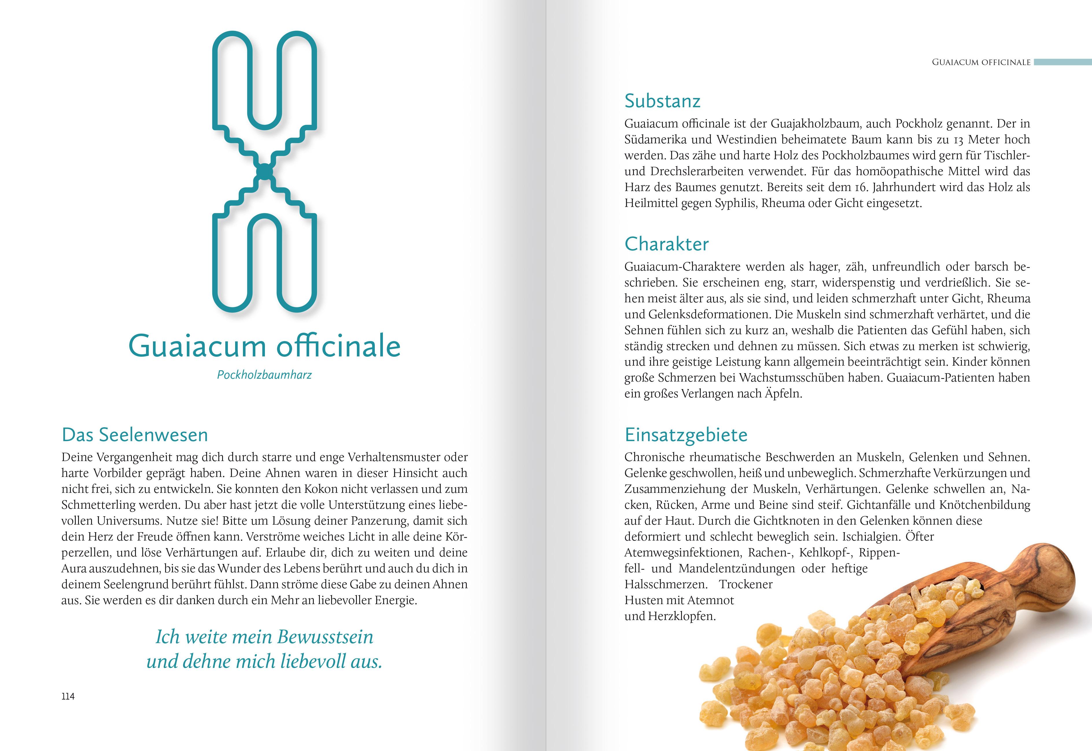 Beispielinhalt (Bild) Homöopathische Symbolapotheke. 70 wichtige "Kleine Mittel"