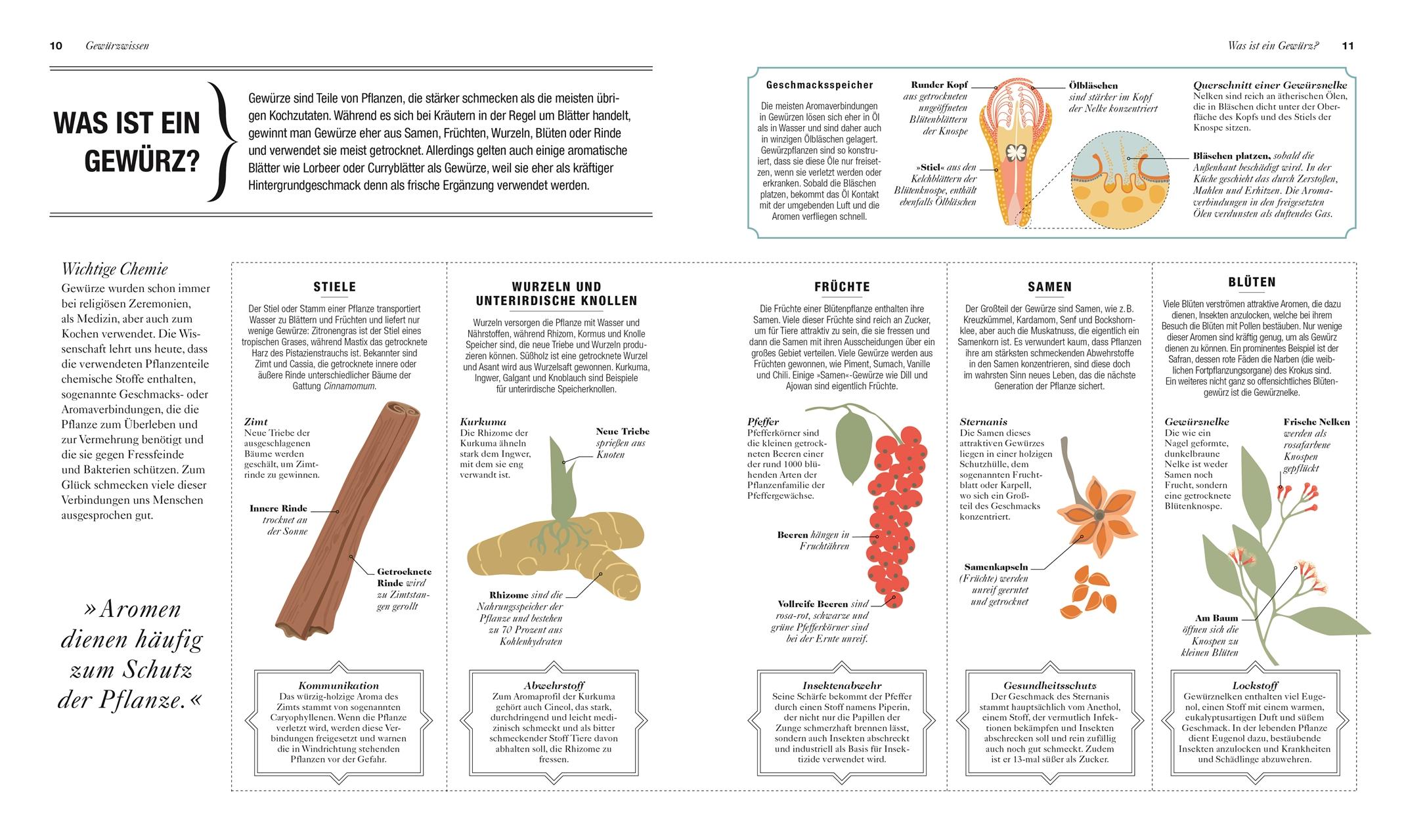 Beispielinhalt (Bild) Gewürze