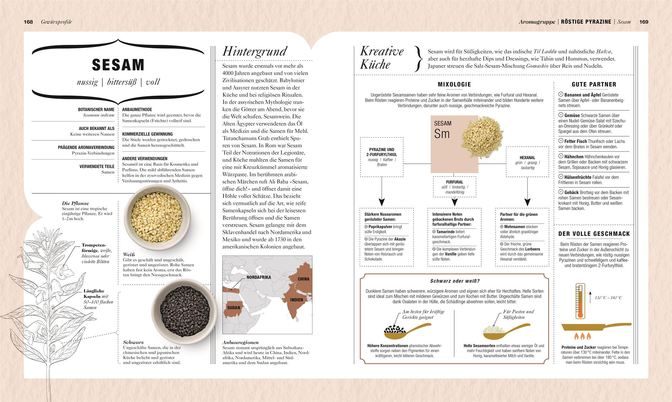 Beispielinhalt (Bild) Gewürze