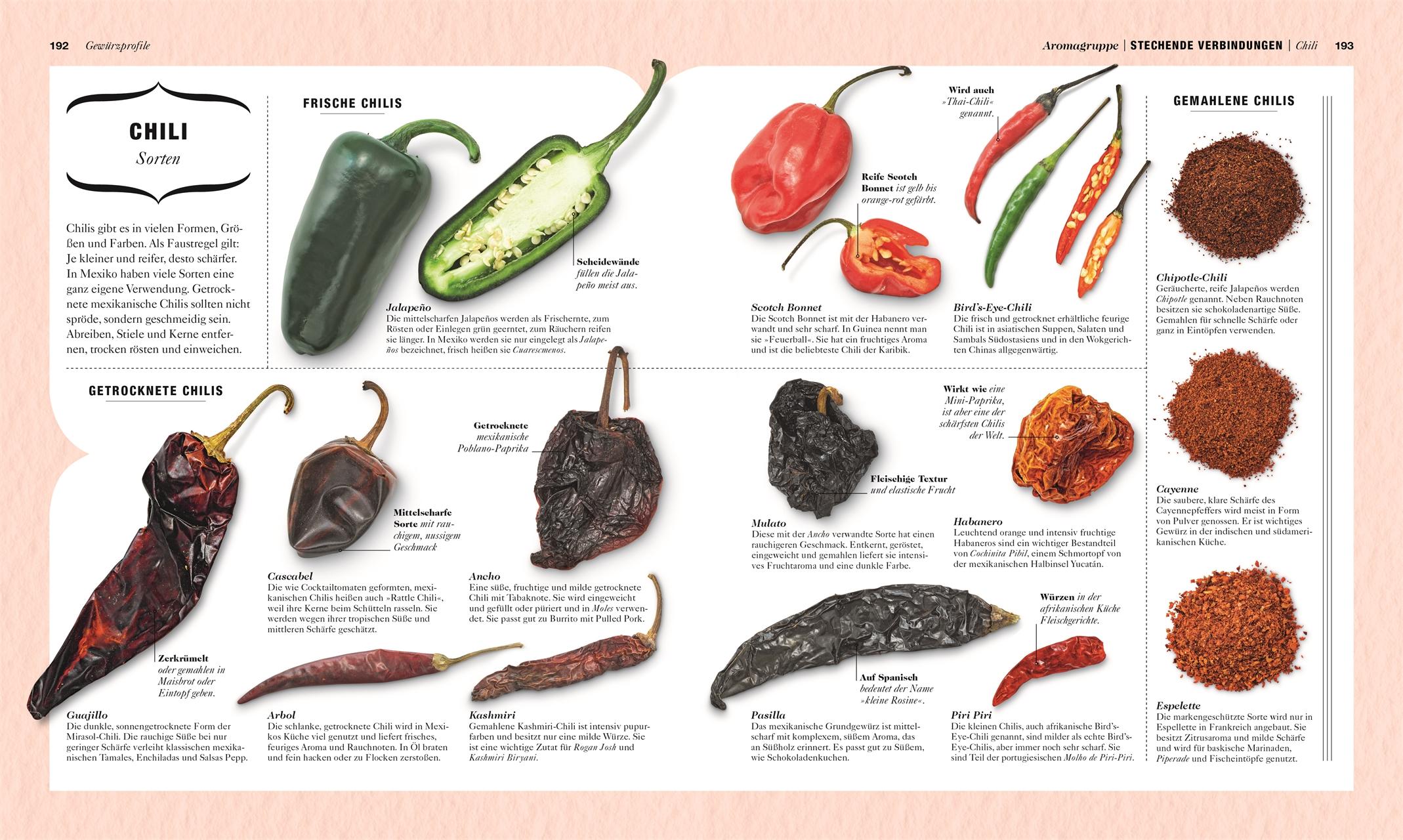 Beispielinhalt (Bild) Gewürze