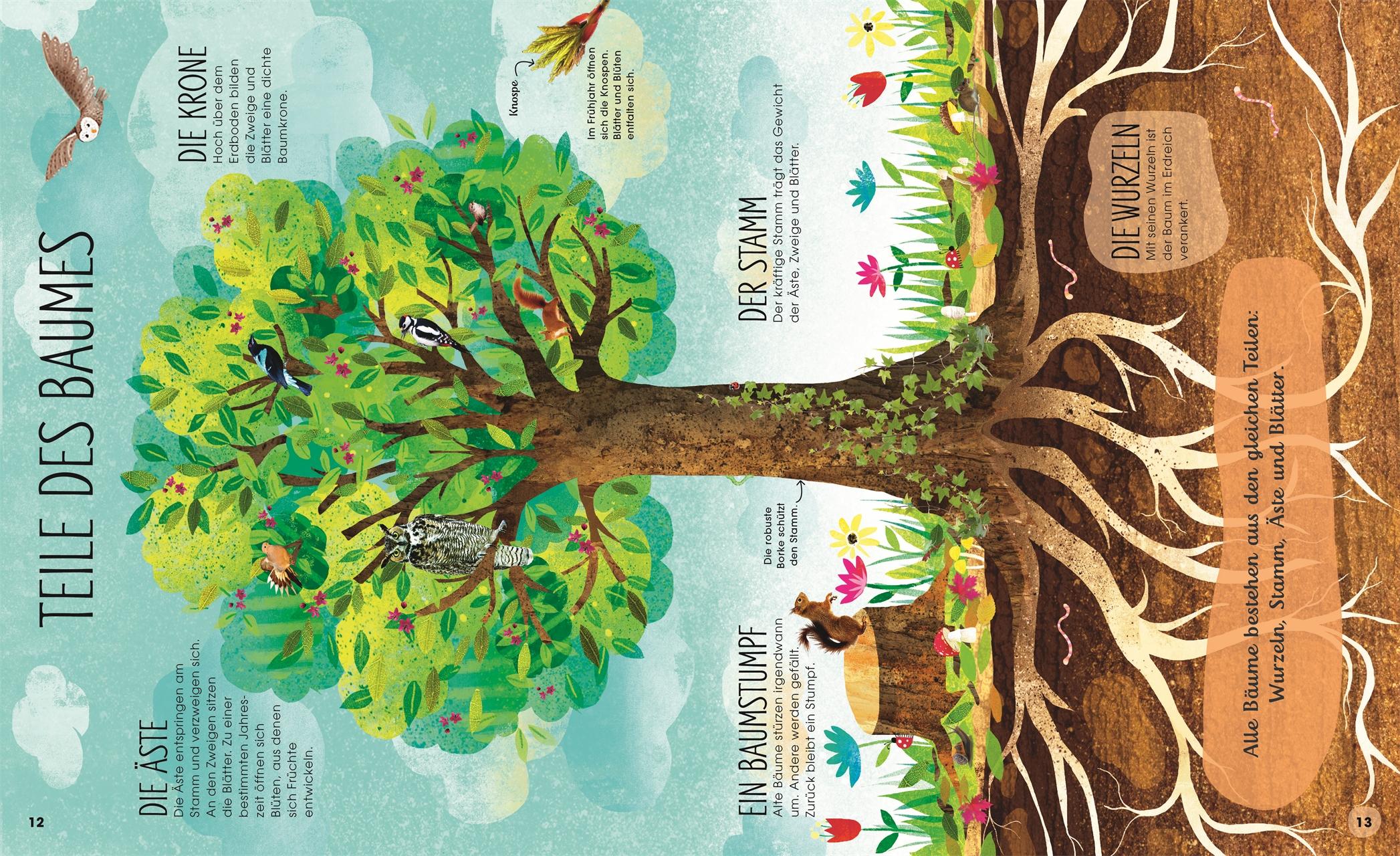 Beispielinhalt (Bild) Bäume