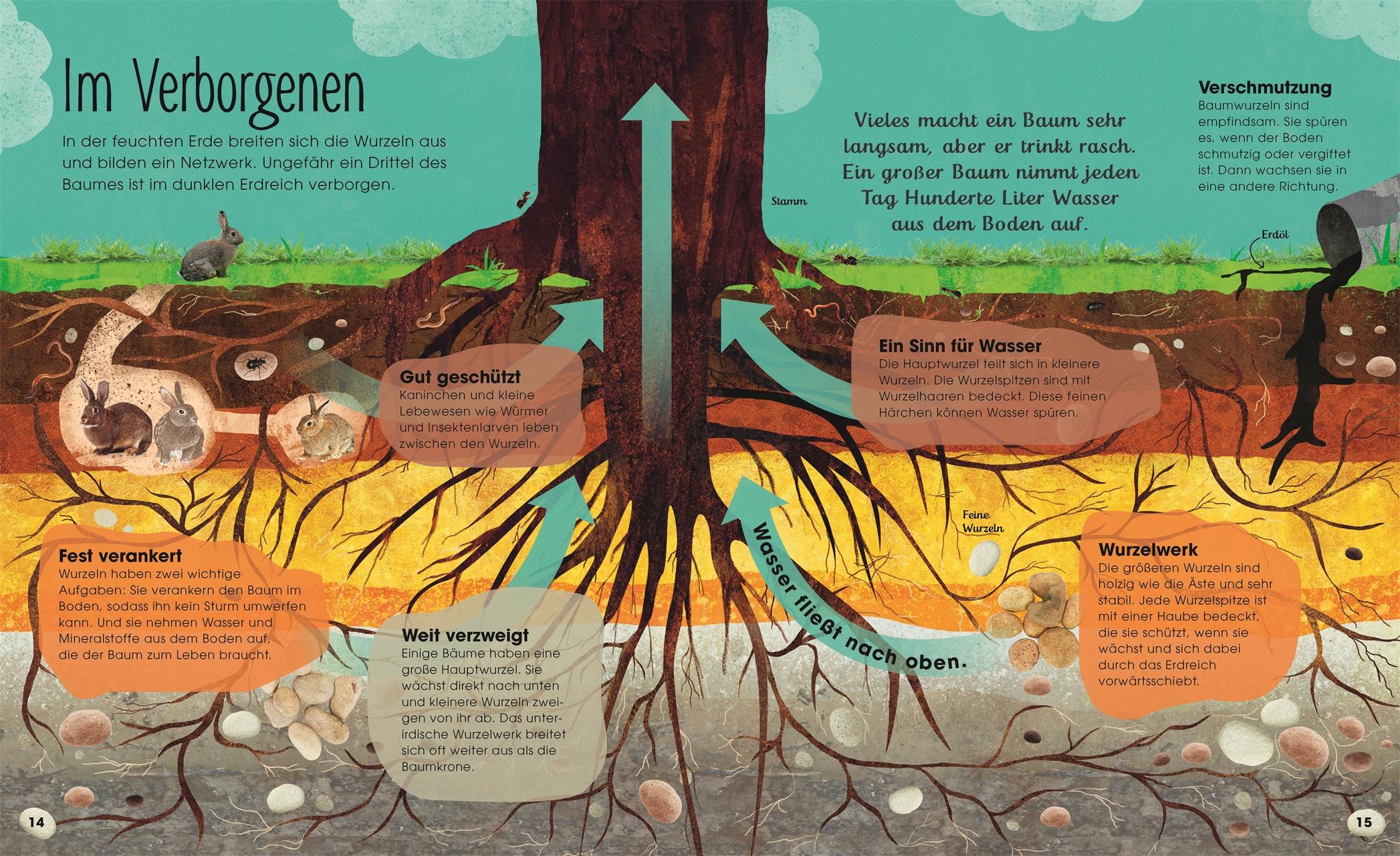 Beispielinhalt (Bild) Bäume