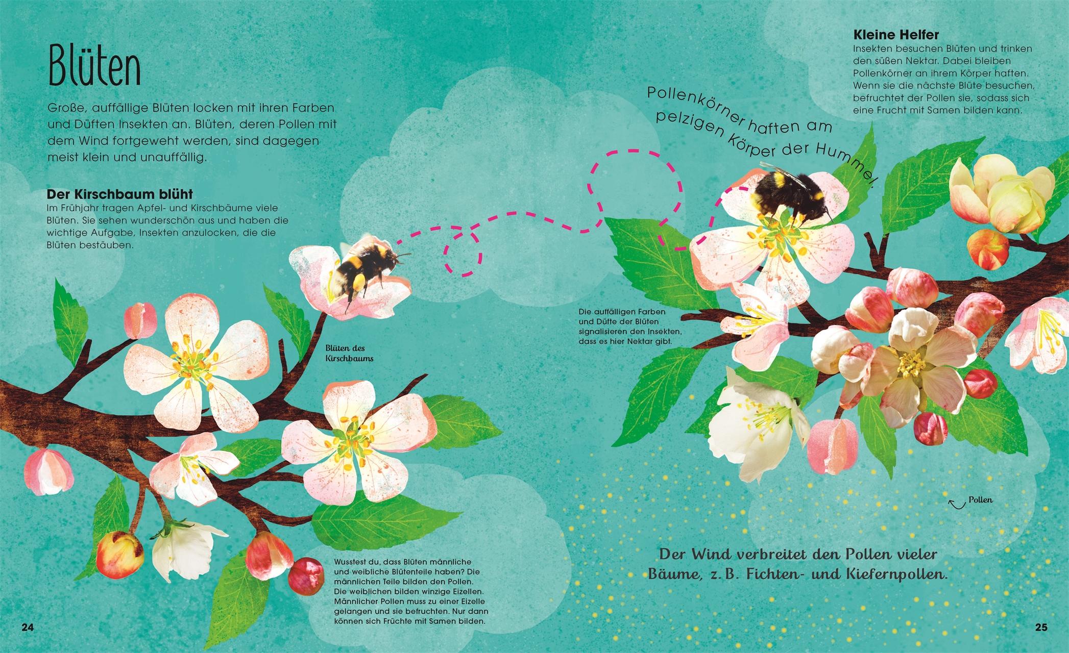 Beispielinhalt (Bild) Bäume