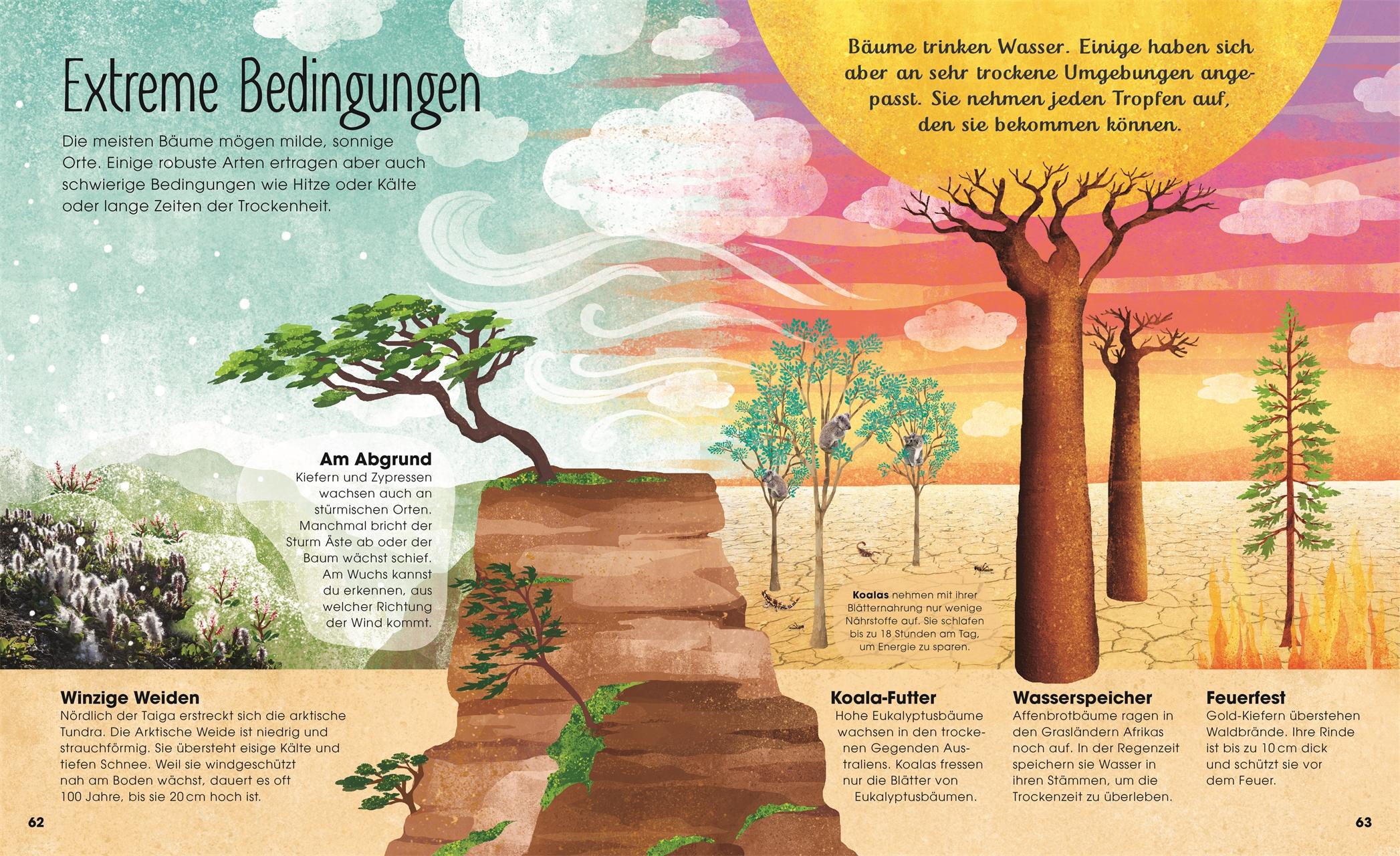 Beispielinhalt (Bild) Bäume