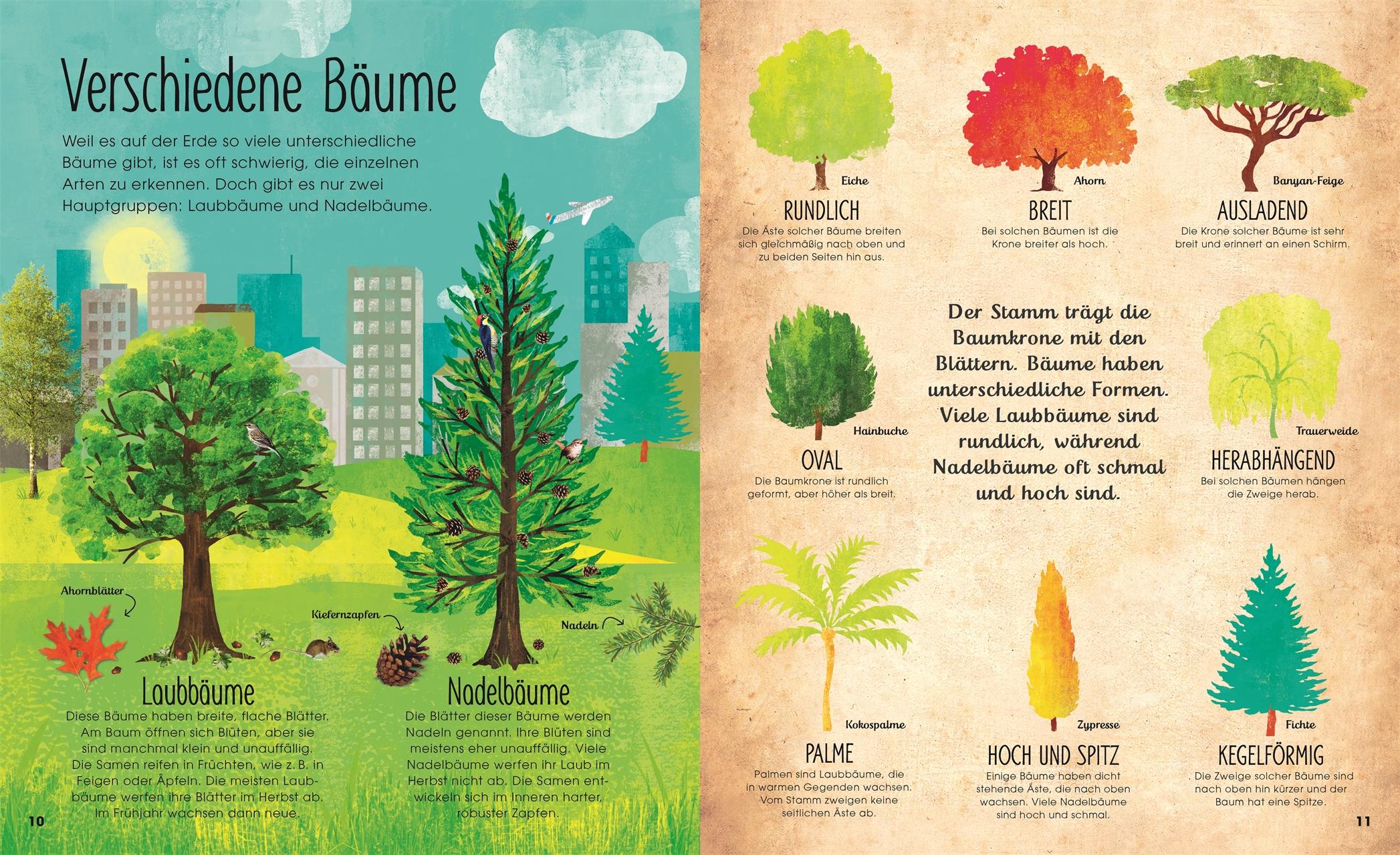 Beispielinhalt (Bild) Bäume