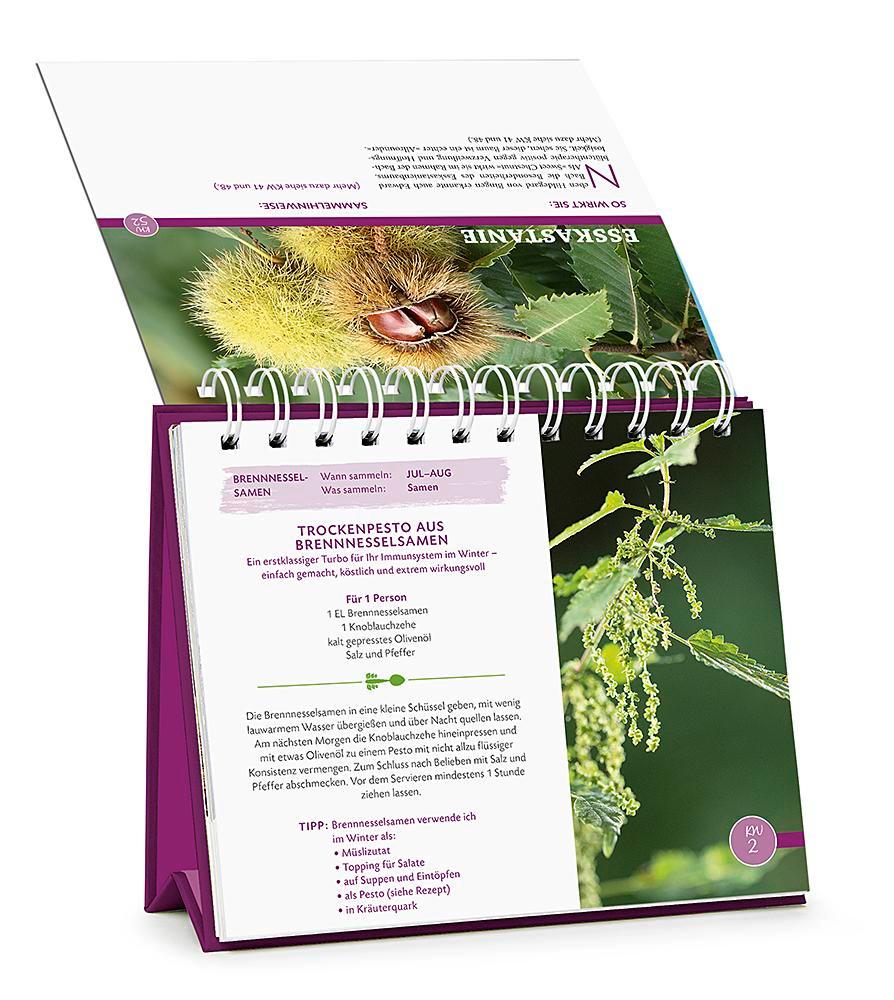 Beispielinhalt (Bild) Die Wald-Apotheke