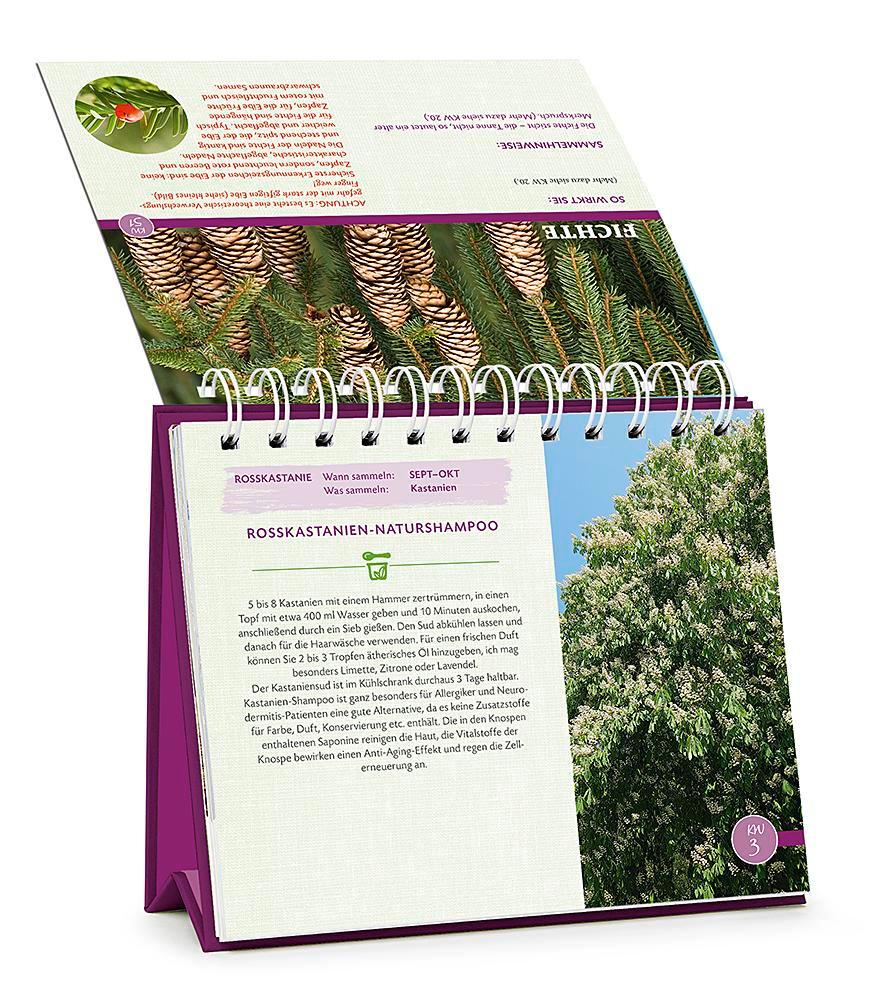 Beispielinhalt (Bild) Die Wald-Apotheke