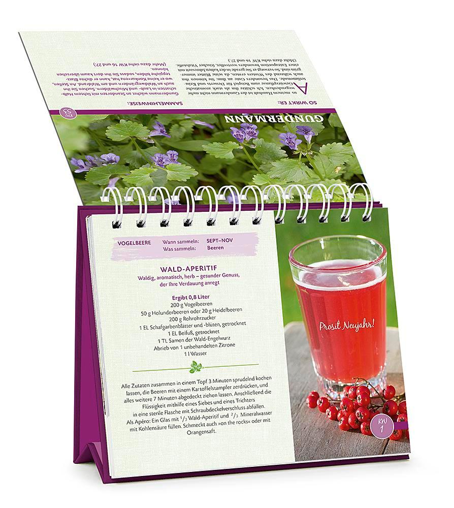 Beispielinhalt (Bild) Die Wald-Apotheke