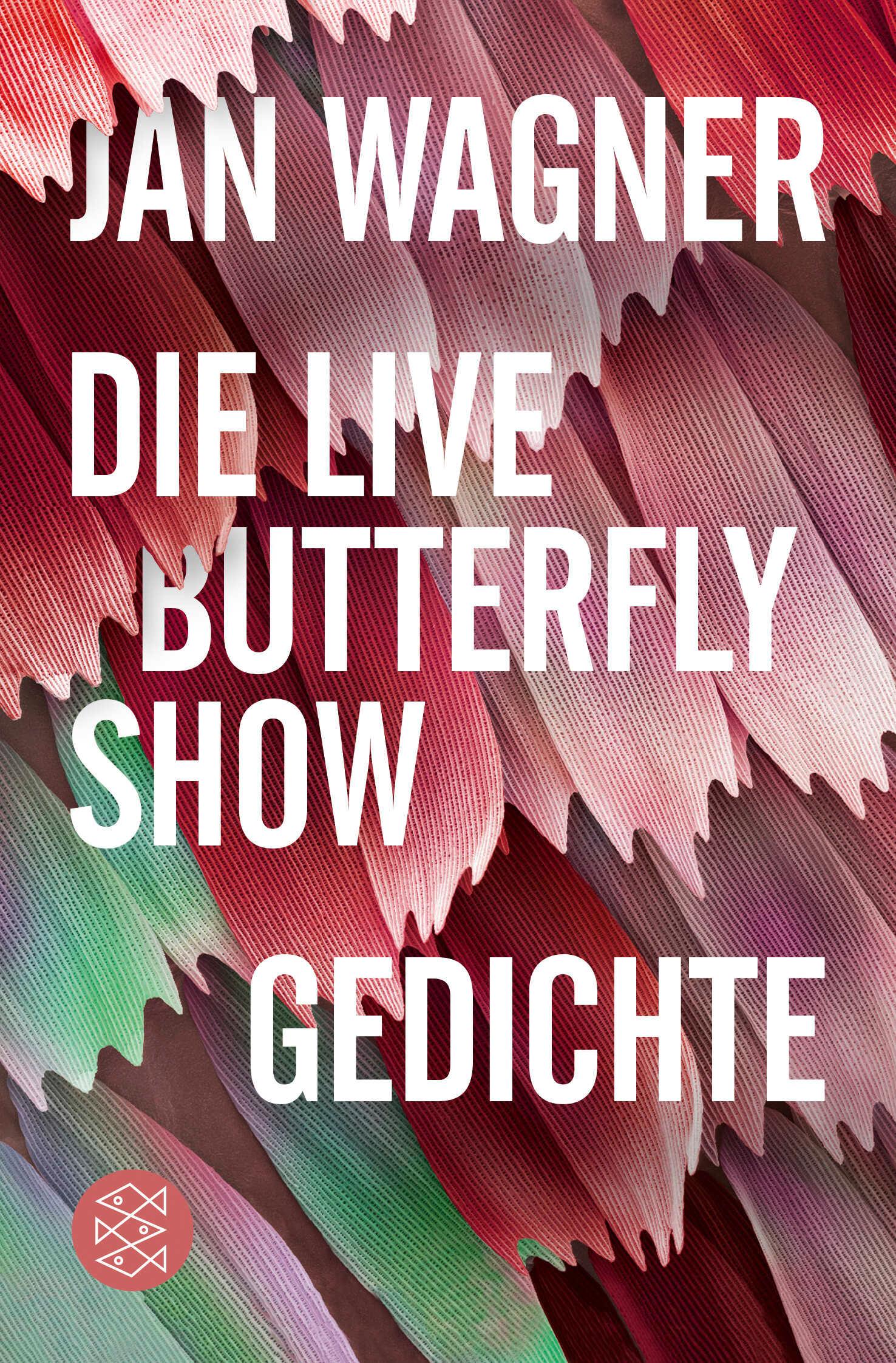 Vorderes Coverbild Die Live Butterfly Show