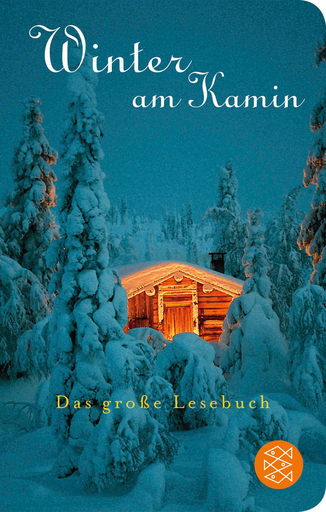 Vorderes Coverbild Winter am Kamin