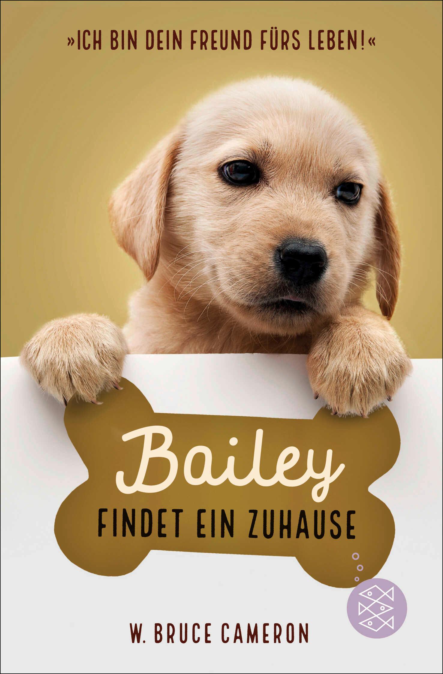 Vorderes Coverbild Bailey findet ein Zuhause