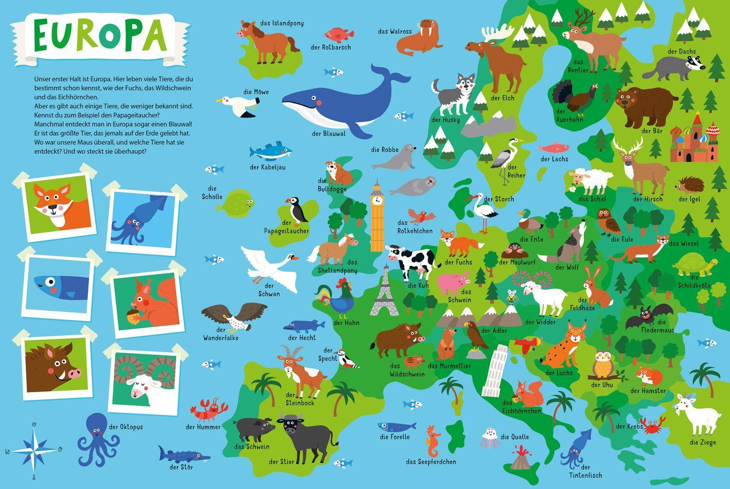 Beispielinhalt (Bild) Mein kunterbunter Tieratlas