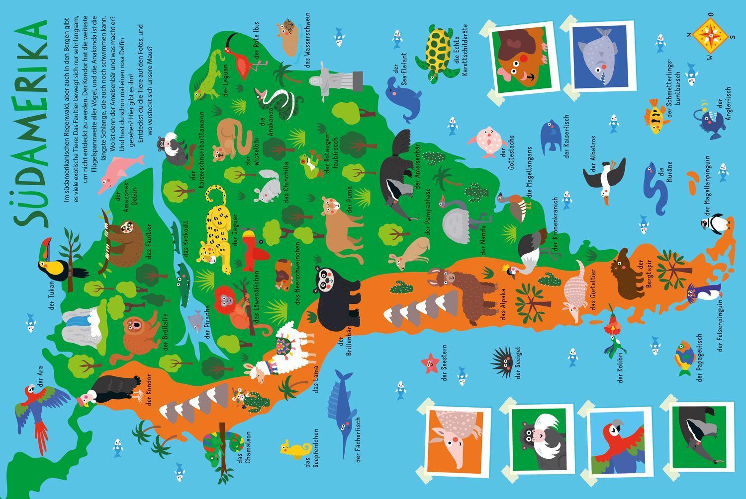 Beispielinhalt (Bild) Mein kunterbunter Tieratlas