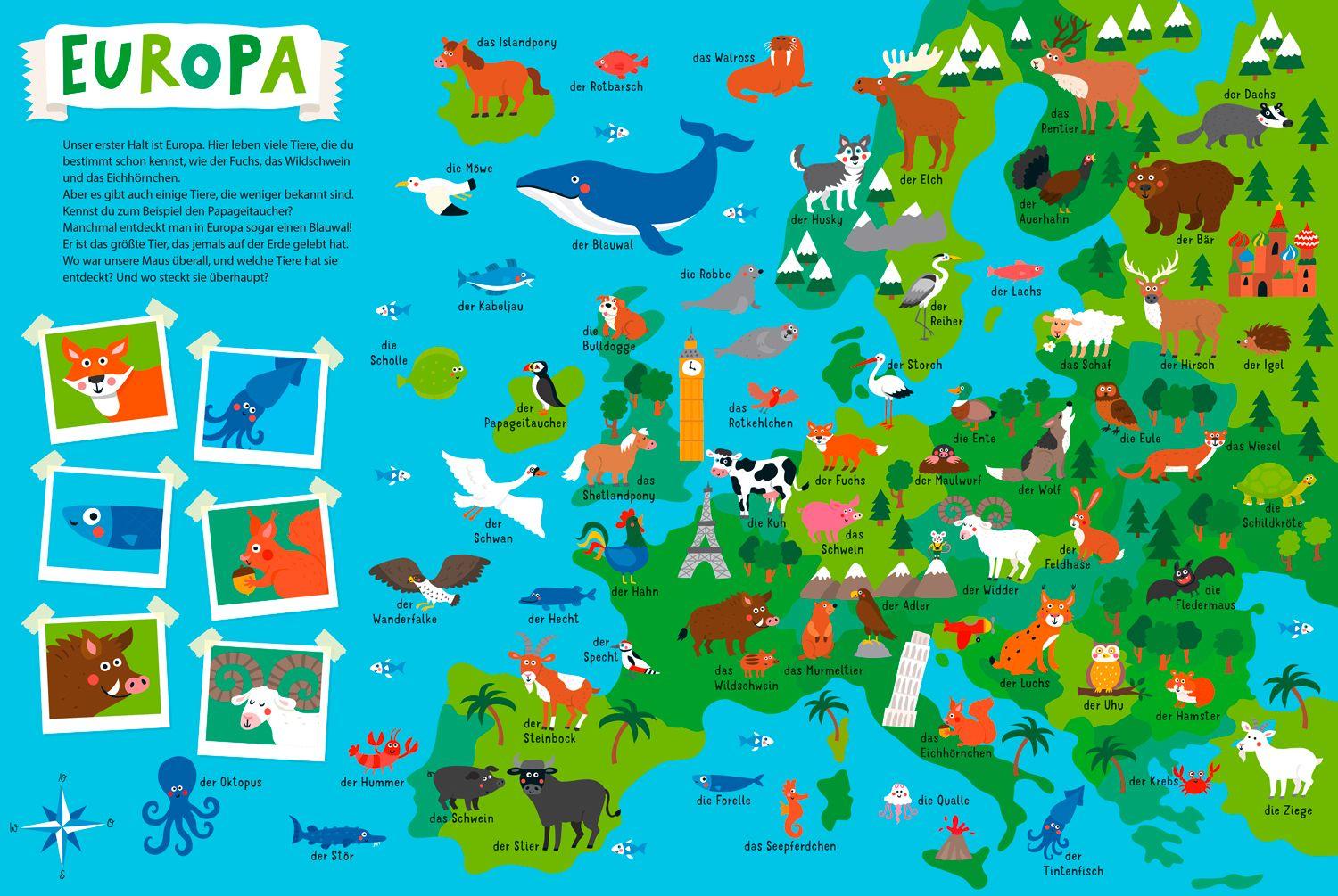 Beispielinhalt (Bild) Mein kunterbunter Tieratlas
