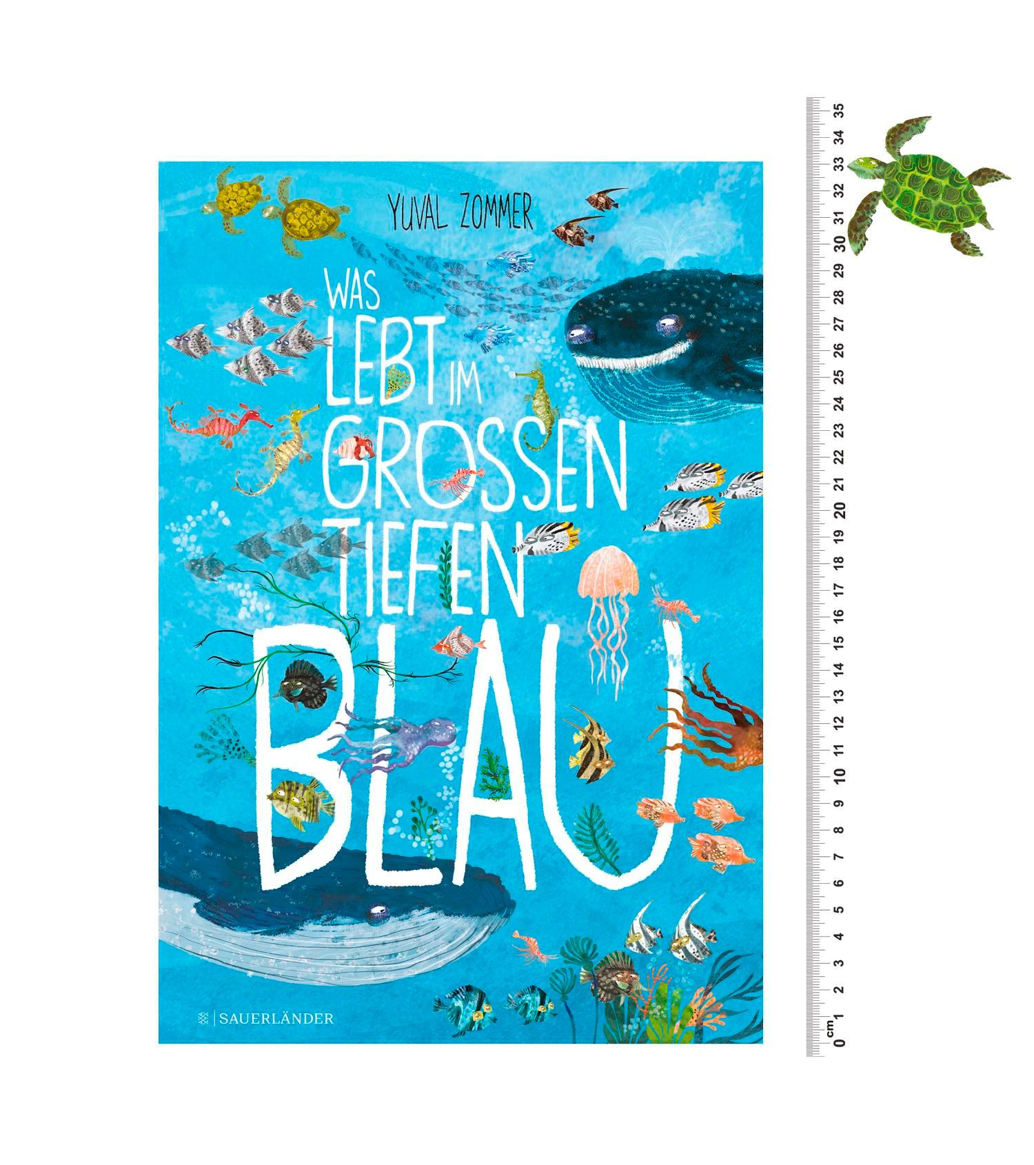Beispielinhalt (Bild) Was lebt im großen tiefen Blau?