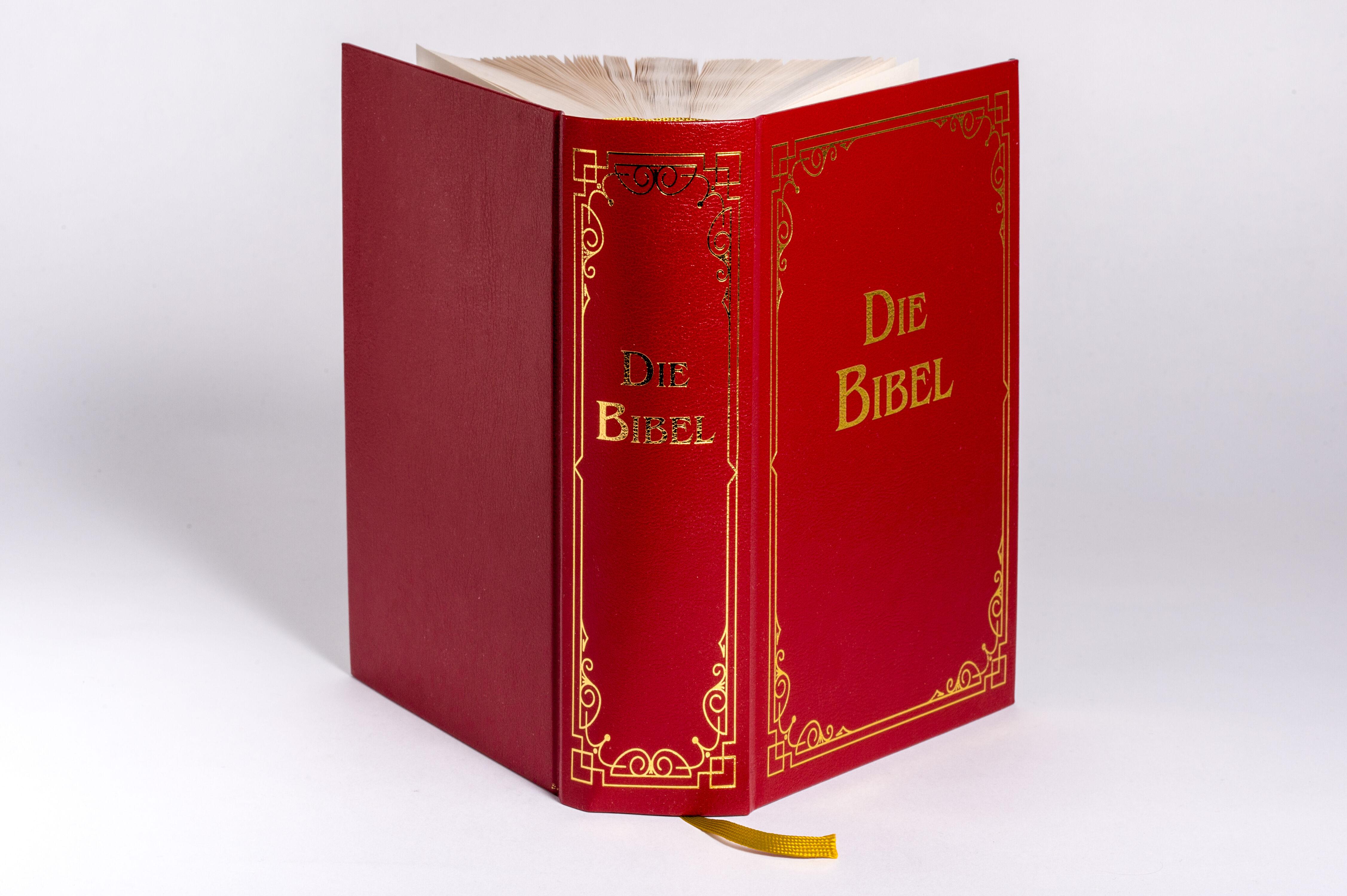 Beispielinhalt (Bild) Die Bibel (Geschenkausgabe, Cabra-Leder)
