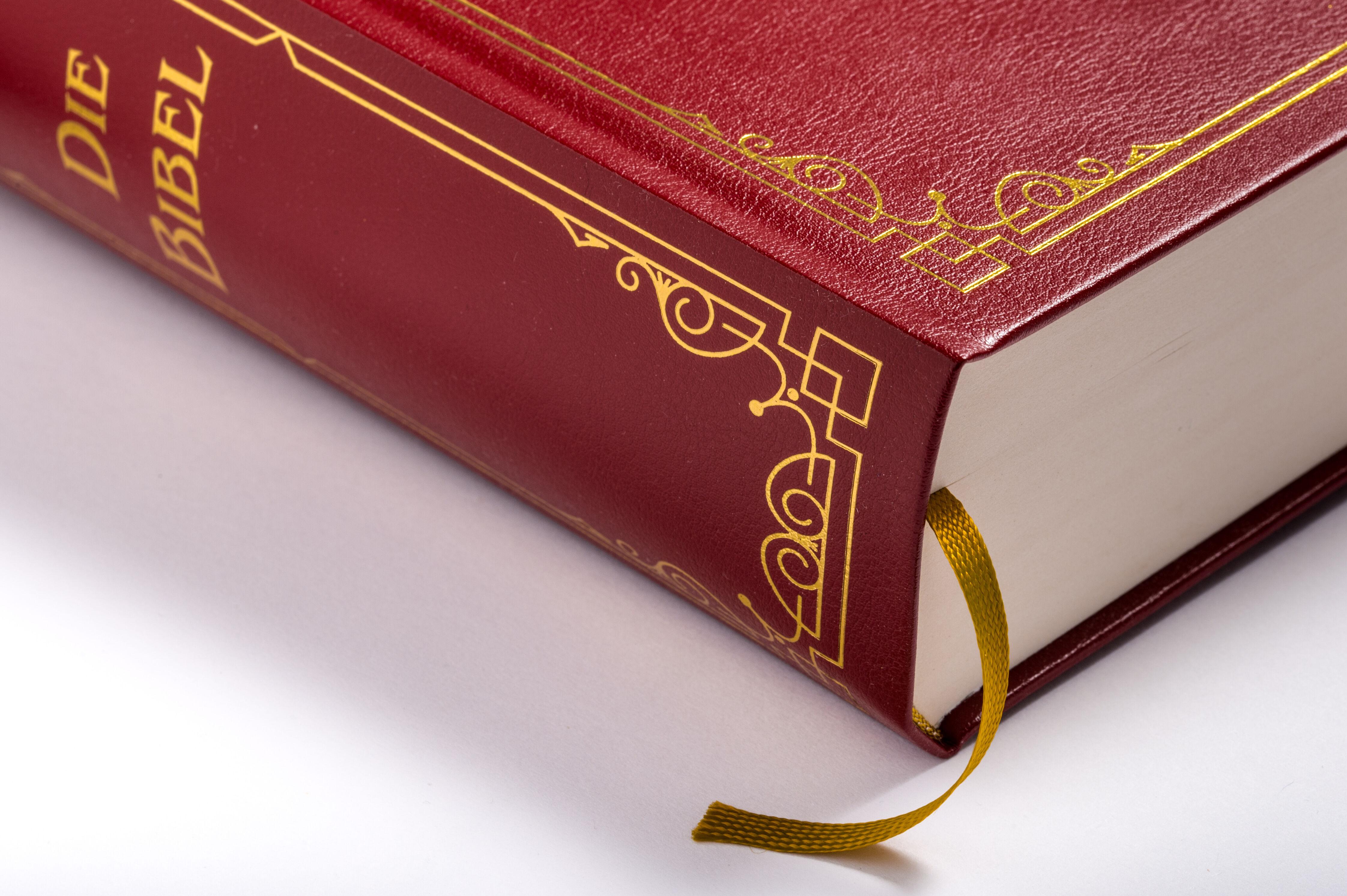 Beispielinhalt (Bild) Die Bibel (Geschenkausgabe, Cabra-Leder)