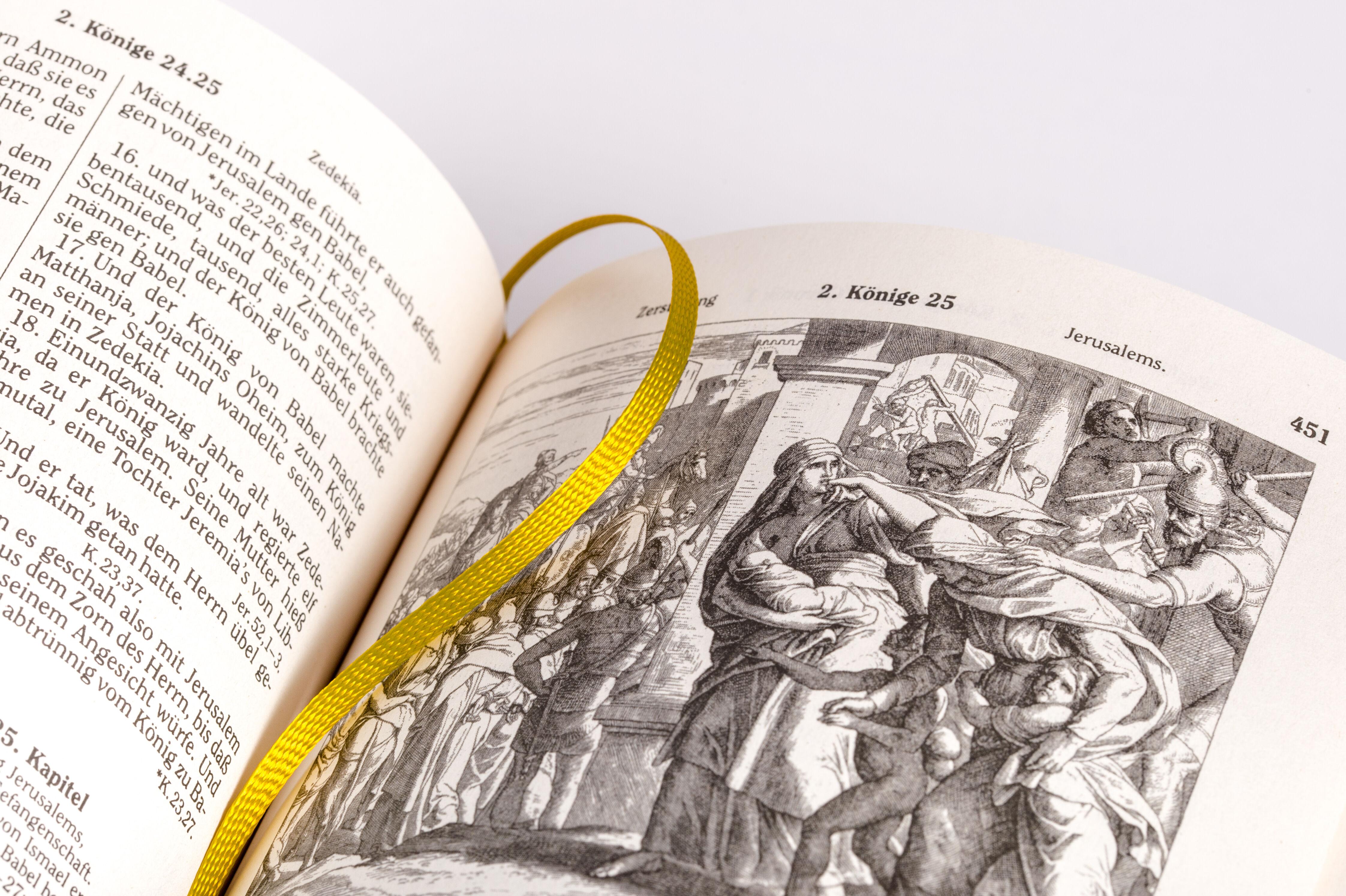 Beispielinhalt (Bild) Die Bibel (Geschenkausgabe, Cabra-Leder)