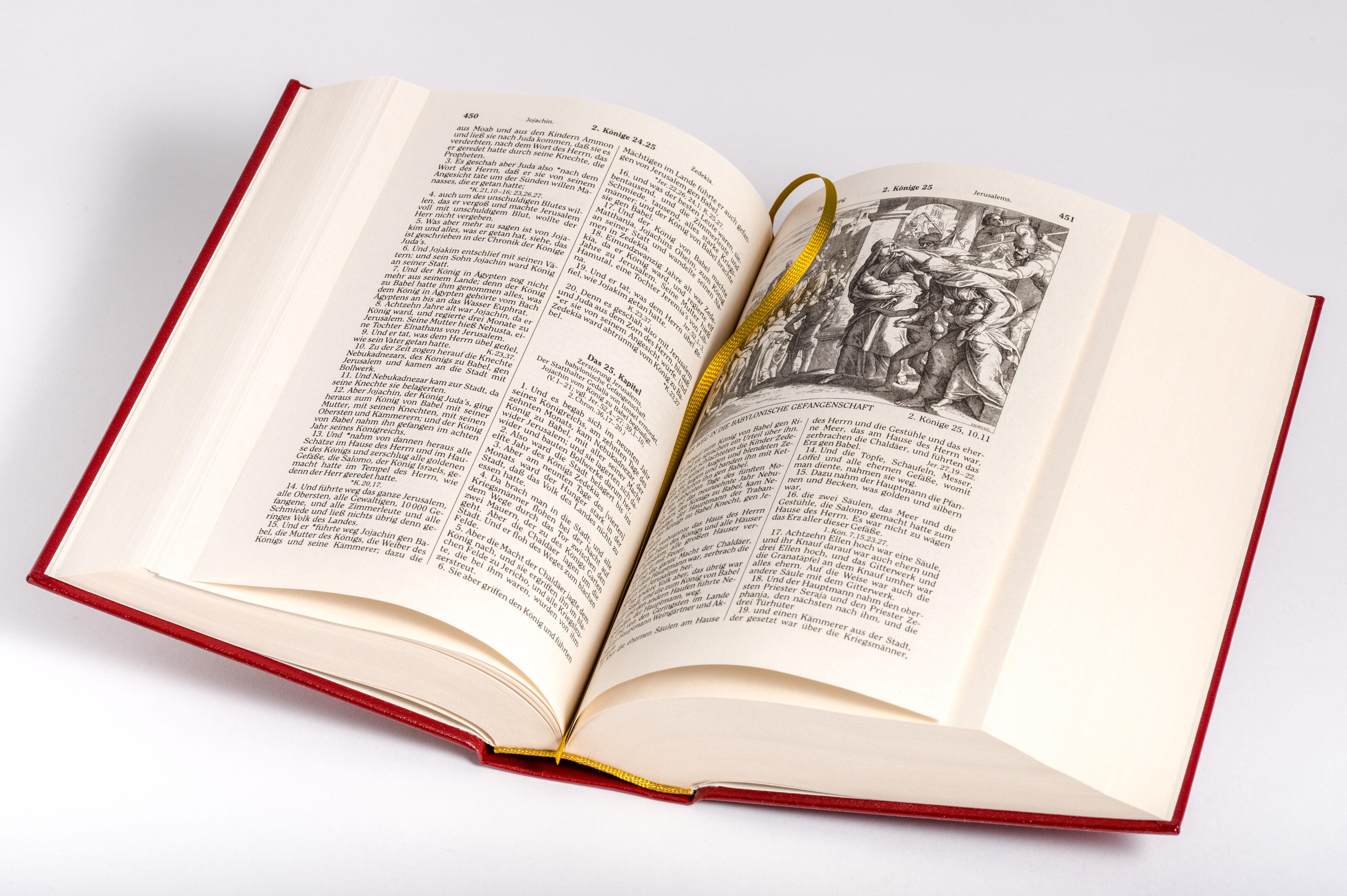 Beispielinhalt (Bild) Die Bibel (Geschenkausgabe, Cabra-Leder)