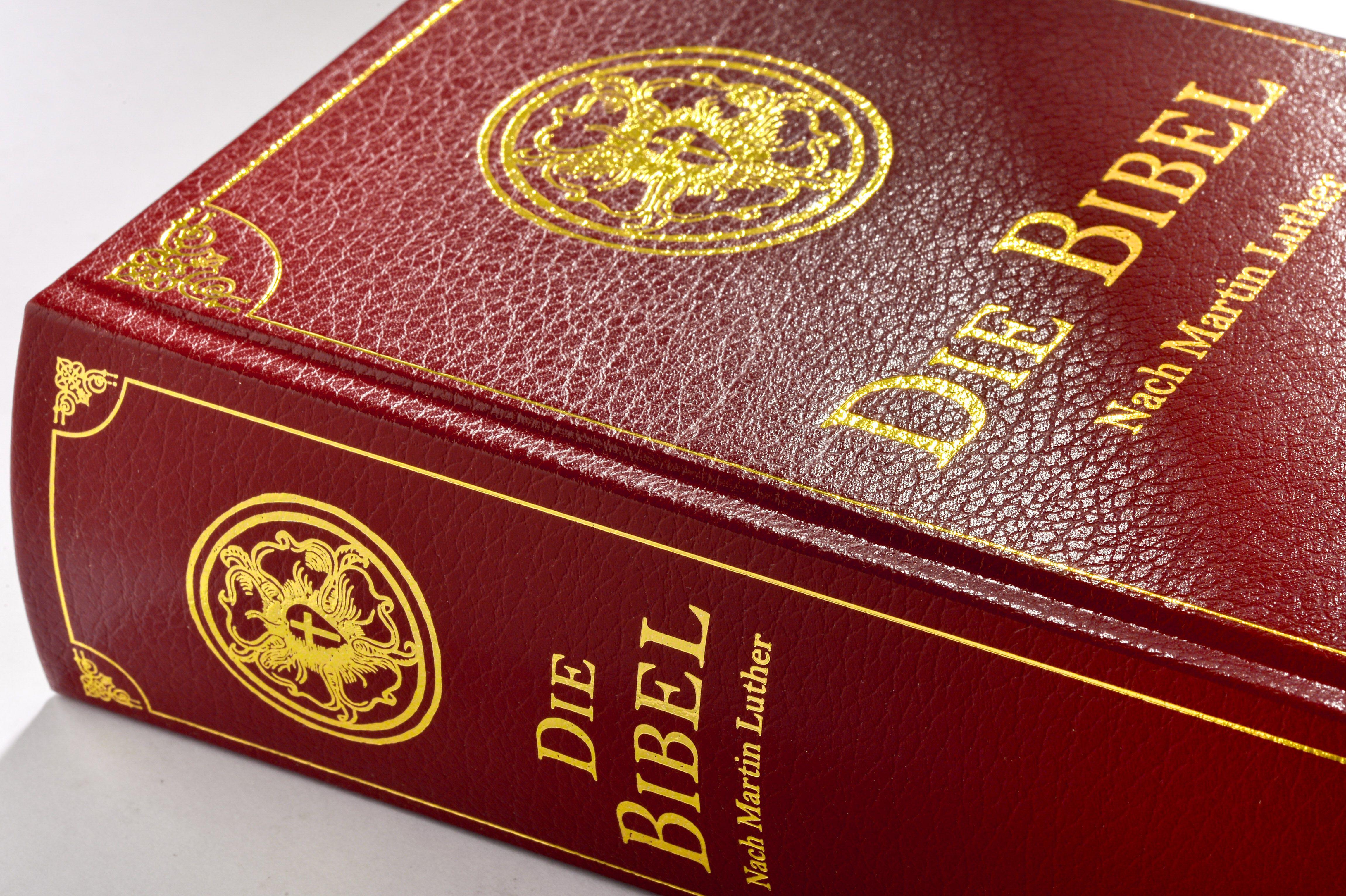 Beispielinhalt (Bild) Die Bibel (Geschenkausgabe, Cabra-Leder)
