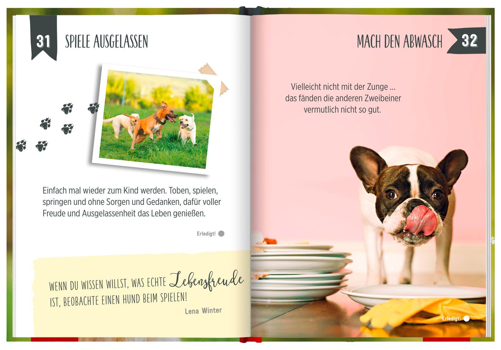 Beispielinhalt (Bild) 100 Dinge, die man von einem Hund lernen kann