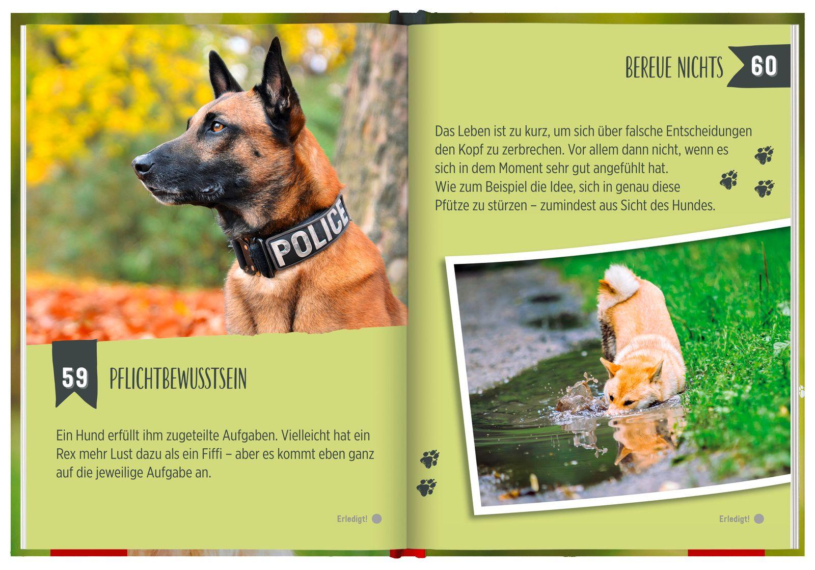 Beispielinhalt (Bild) 100 Dinge, die man von einem Hund lernen kann