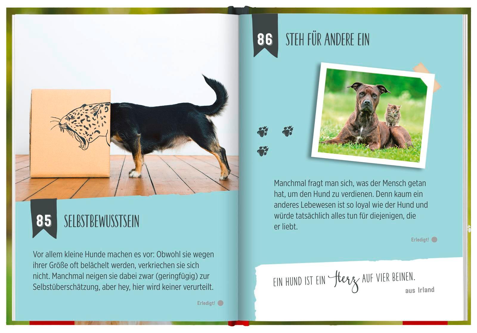 Beispielinhalt (Bild) 100 Dinge, die man von einem Hund lernen kann