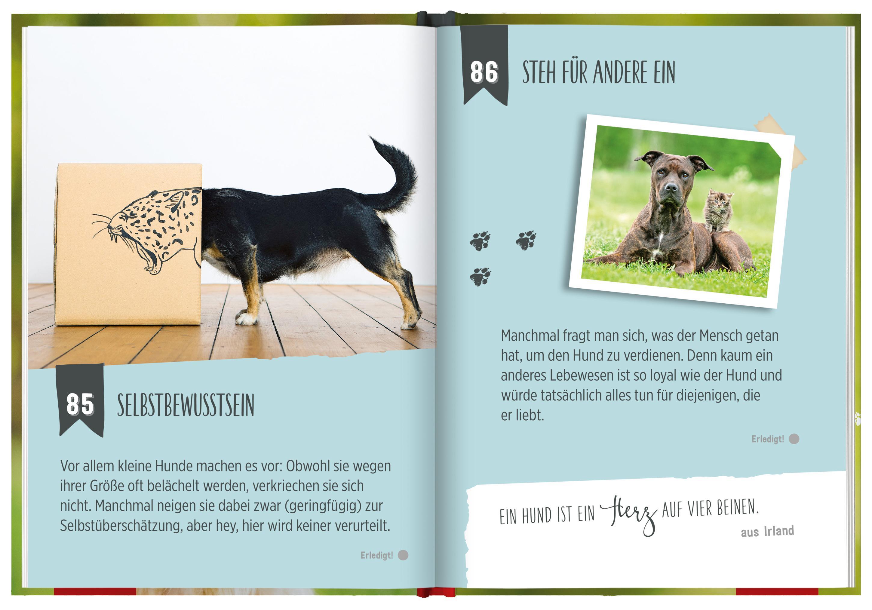 Beispielinhalt (Bild) 100 Dinge, die man von einem Hund lernen kann