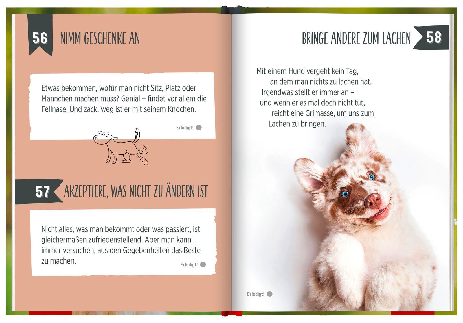 Beispielinhalt (Bild) 100 Dinge, die man von einem Hund lernen kann