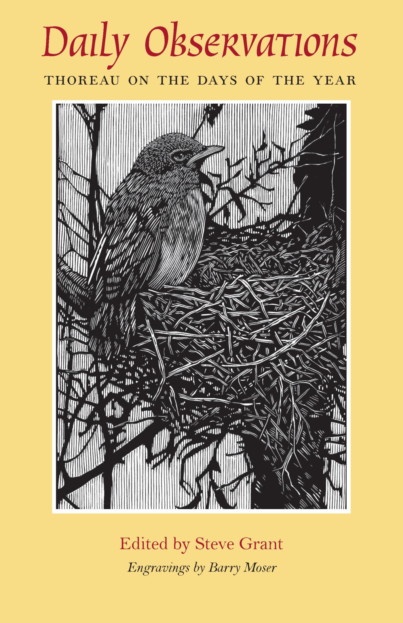 Vorderes Coverbild Daily Observations