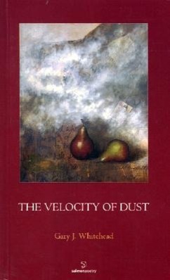 Vorderes Coverbild The Velocity of Dust