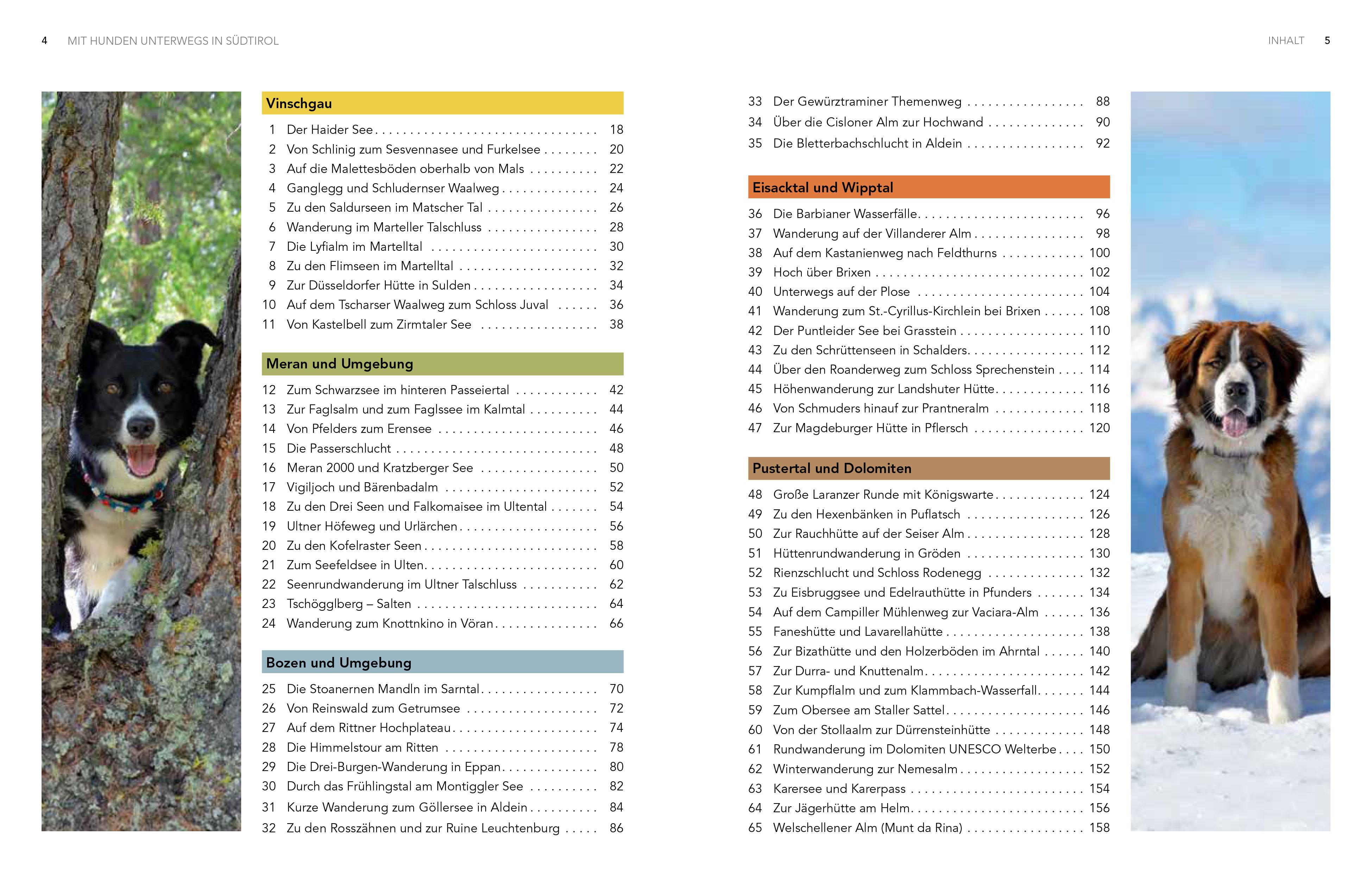 Beispielinhalt (Bild) Mit Hunden unterwegs in Südtirol